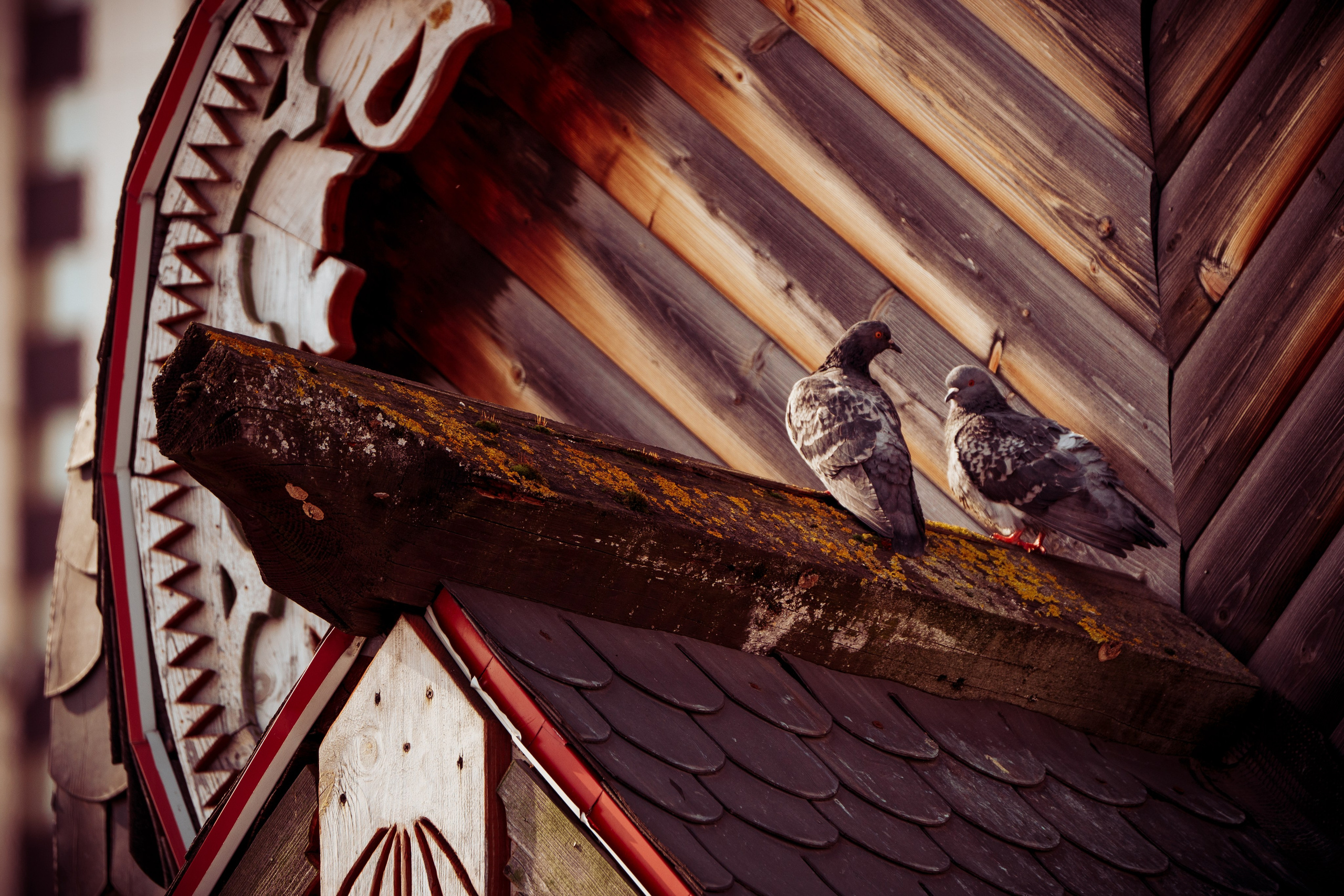 Измайловский Кремль. Polypolarphotography