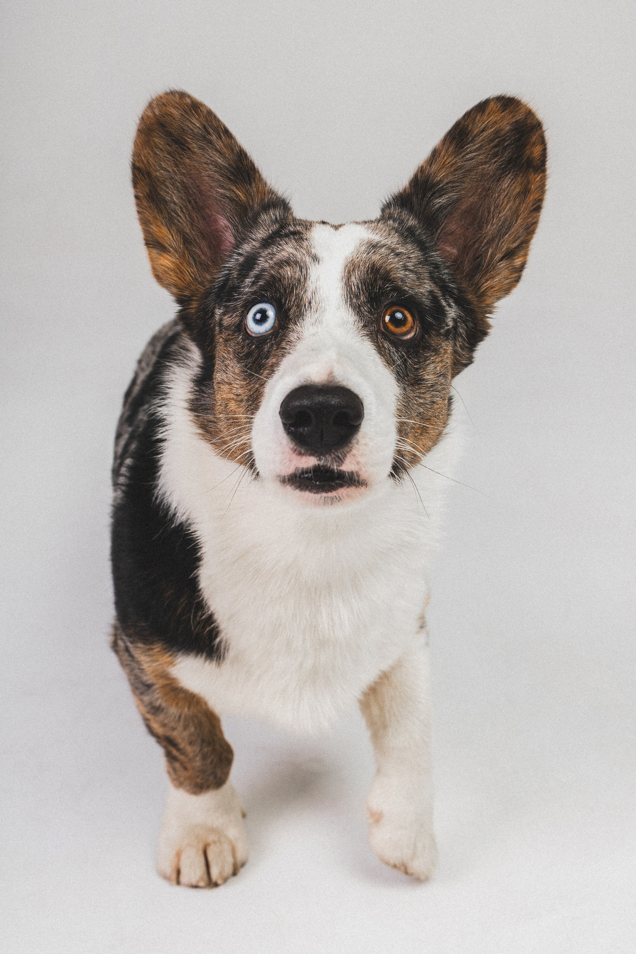 Анатолий и Рагнар