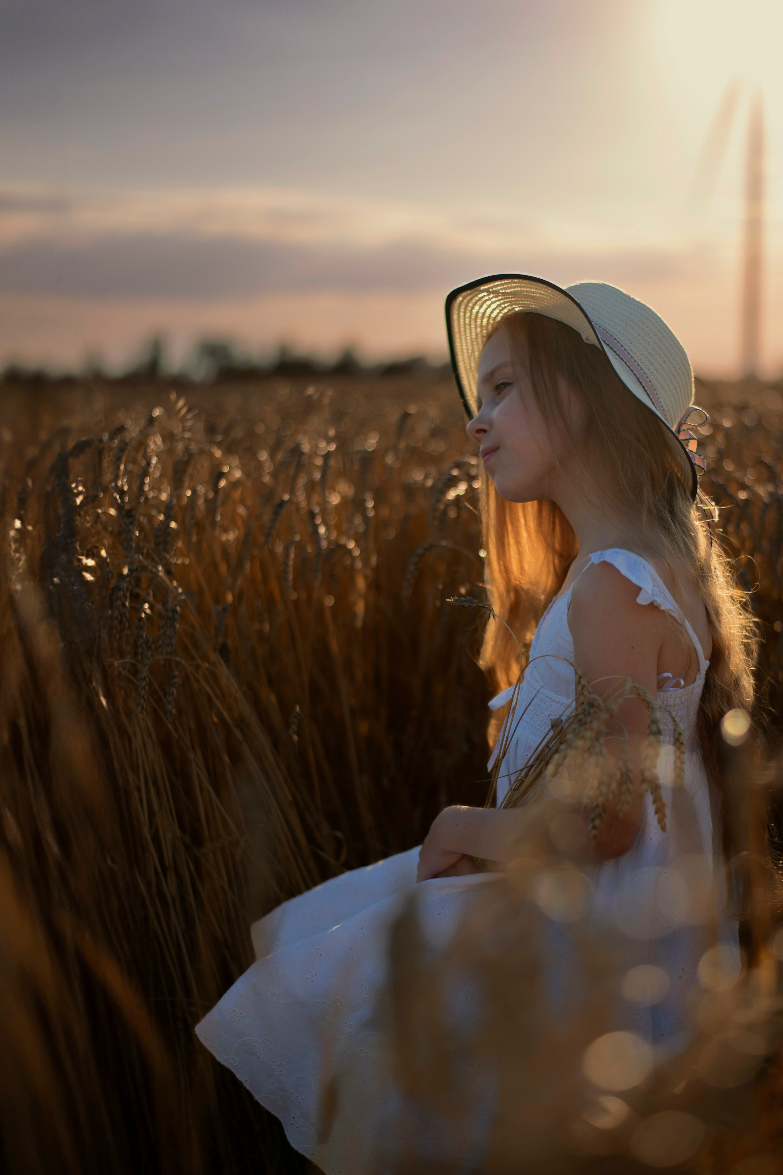 Пшеница. Главная