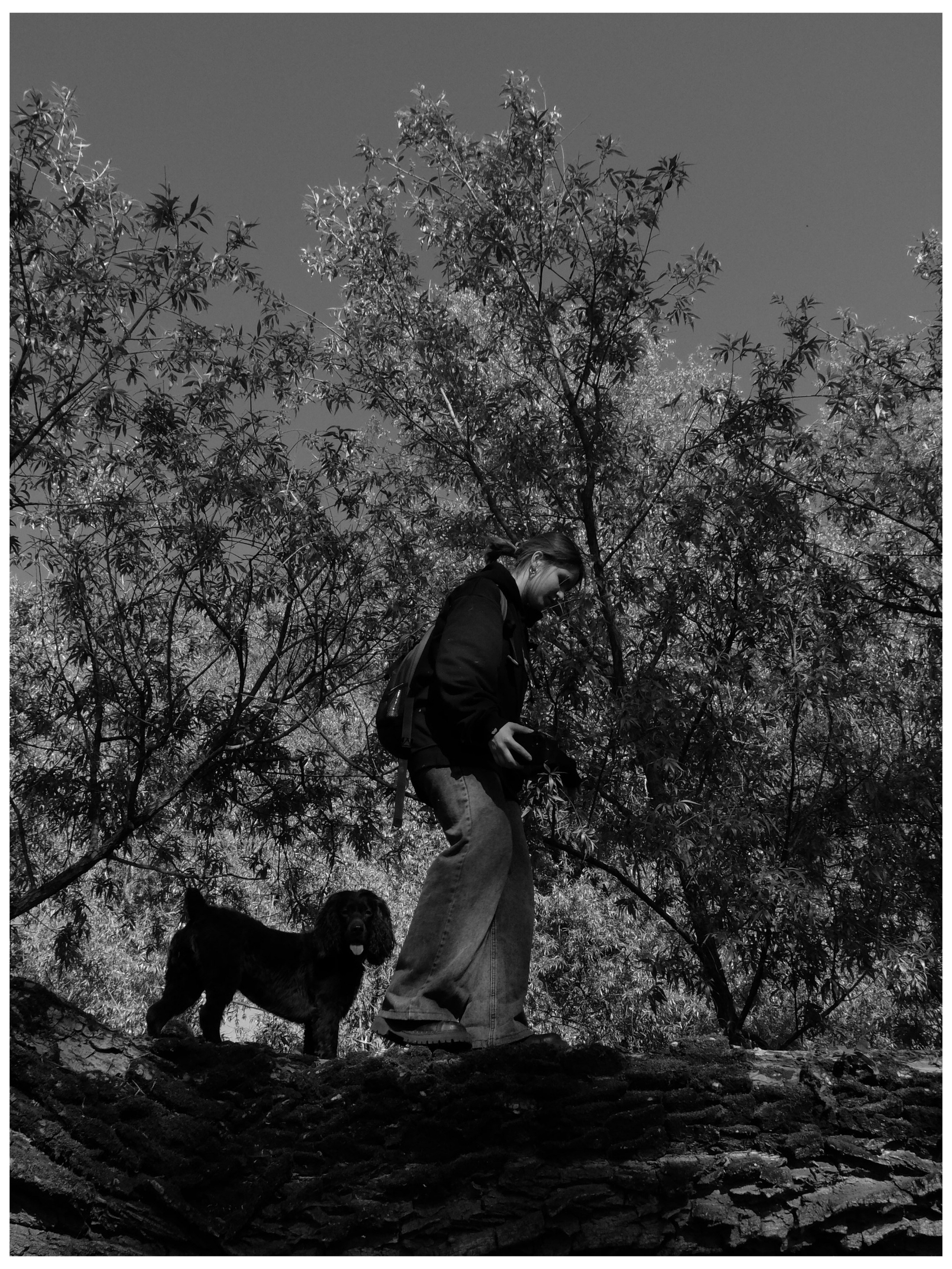 Промежуточные моменты (2022)