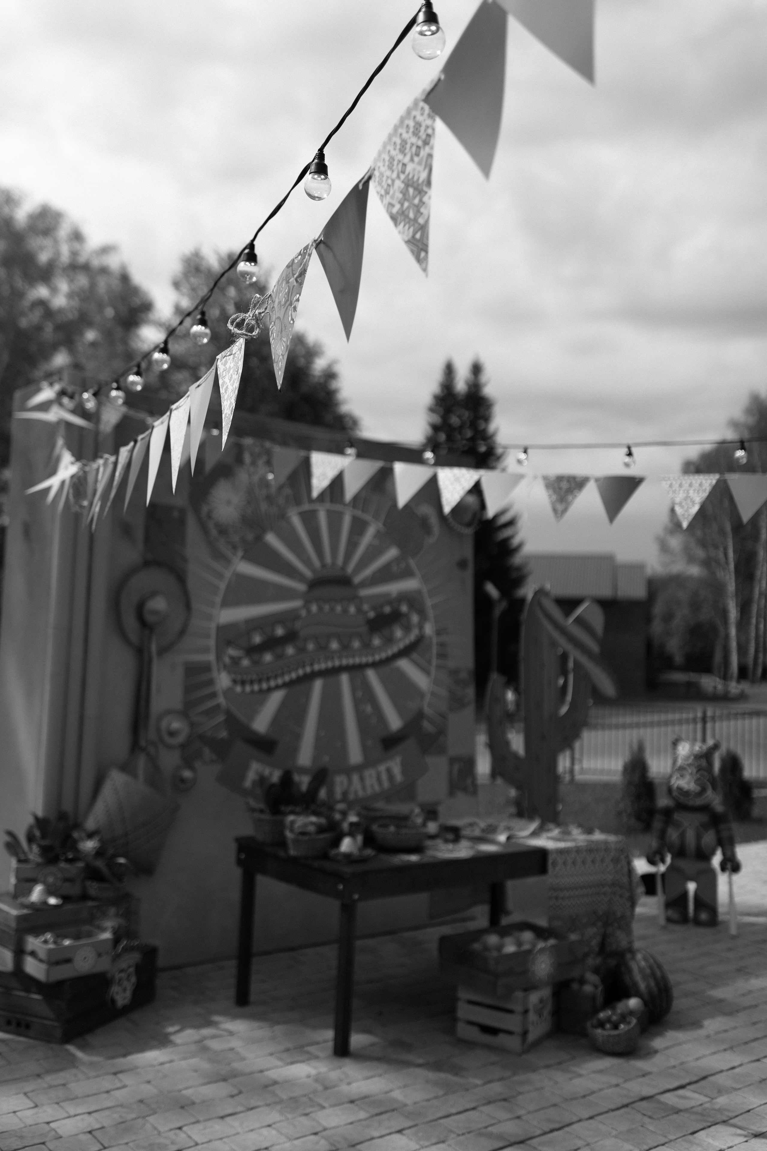 Рома и Настя. Свадебный и семейный фотограф в Новосибирске Наталья Зорина