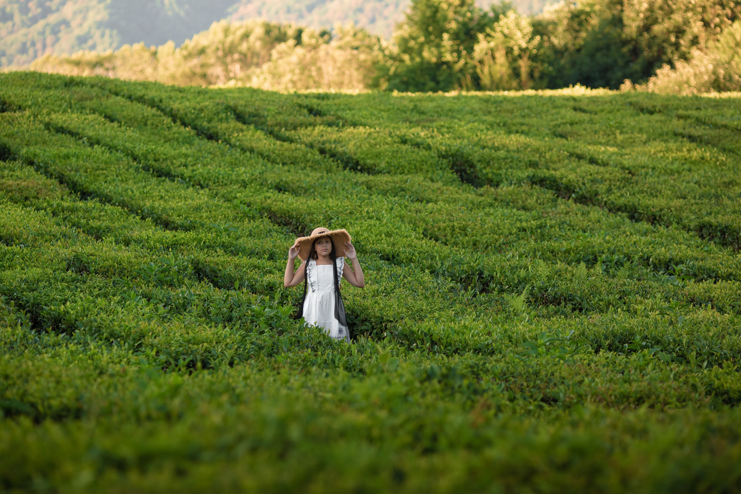 Чайная плантация. Сочи. Семейный и детский фотограф в Краснодарском крае Натали Фищенко