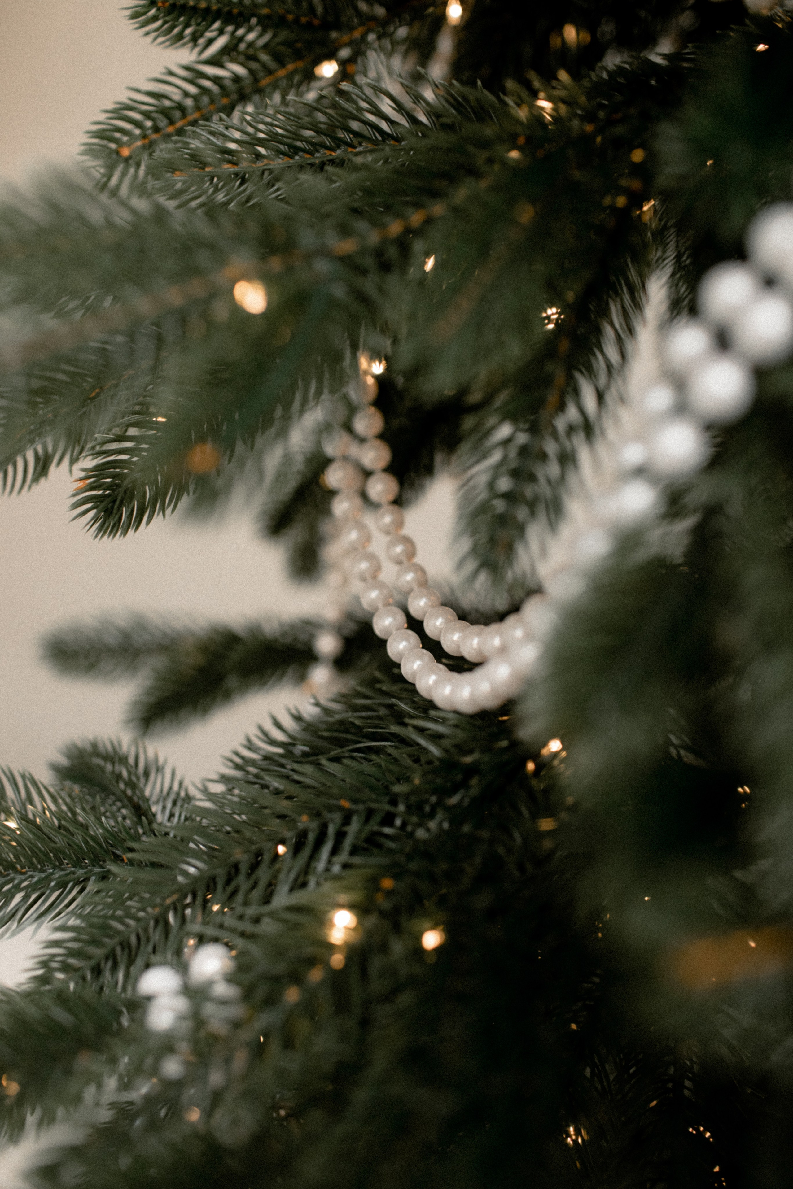 Максим, Аня и Саша. Семейный фотограф в Челябинске Ксения Зубкова