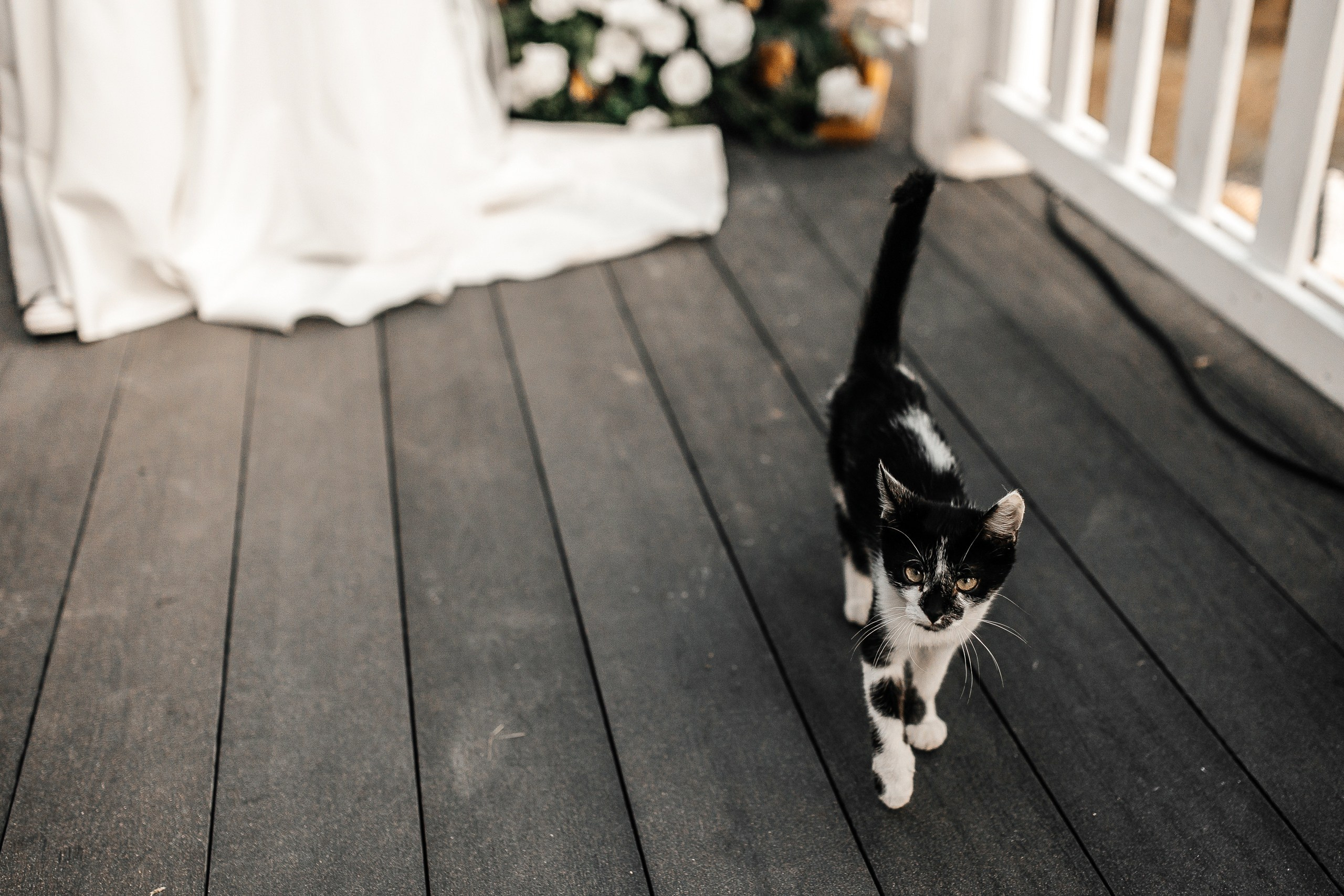 Здравствуйте! Я&nbsp;свадебный фотограф из&nbsp;Ульяновска, работаю в&nbsp;том числе по&nbsp;всей России и&nbsp;с&nbsp;выездом за&nbsp;границу. Снимаю свадьбы, lovestory, корпоративы, светский репортаж. Провожу обучение по&nbsp;фотографии, мастер-классы и&nbsp;воркшопы для других фотографов.