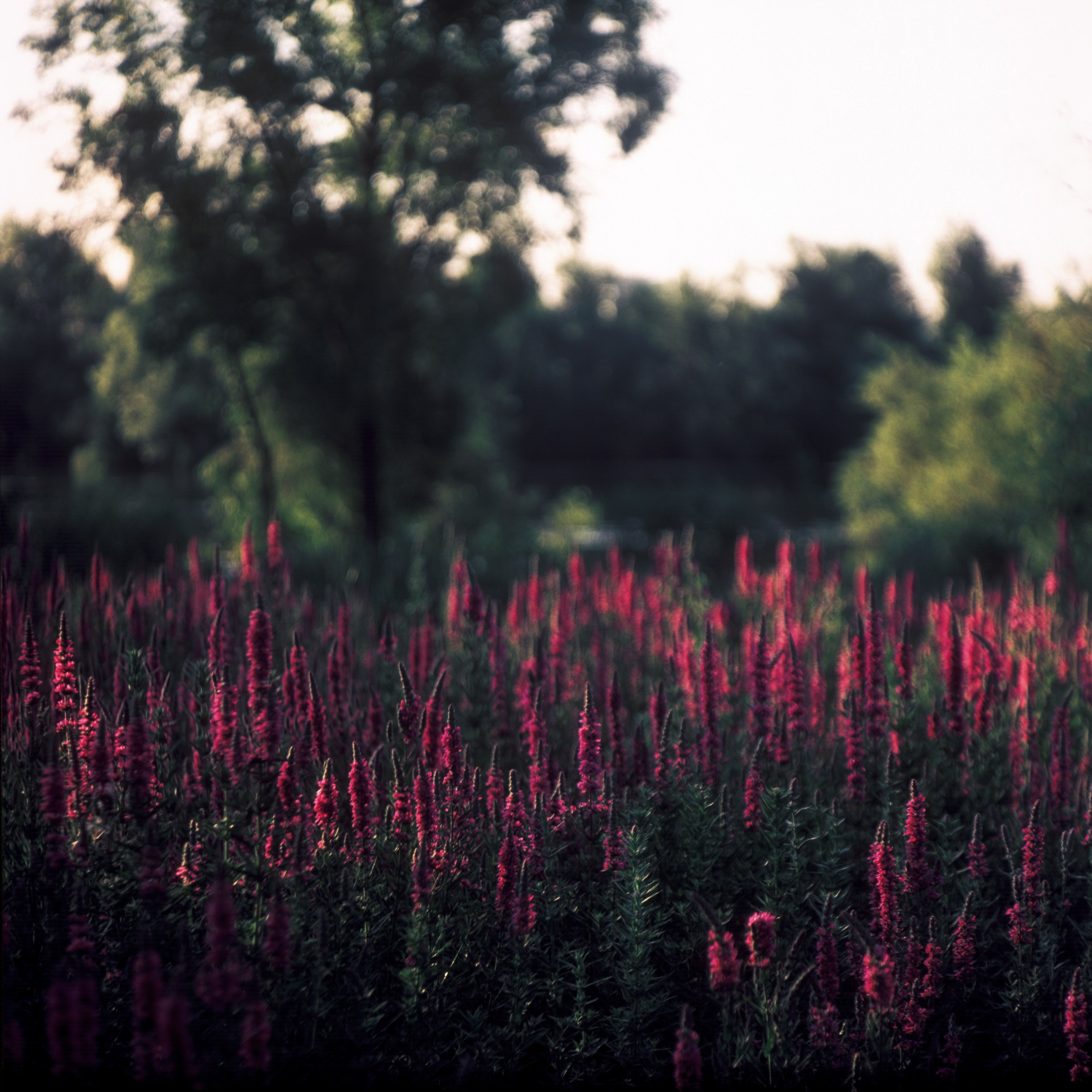 Street-photo города Новосибирск. Портретный и репортажный фотограф. Мыльников Илья