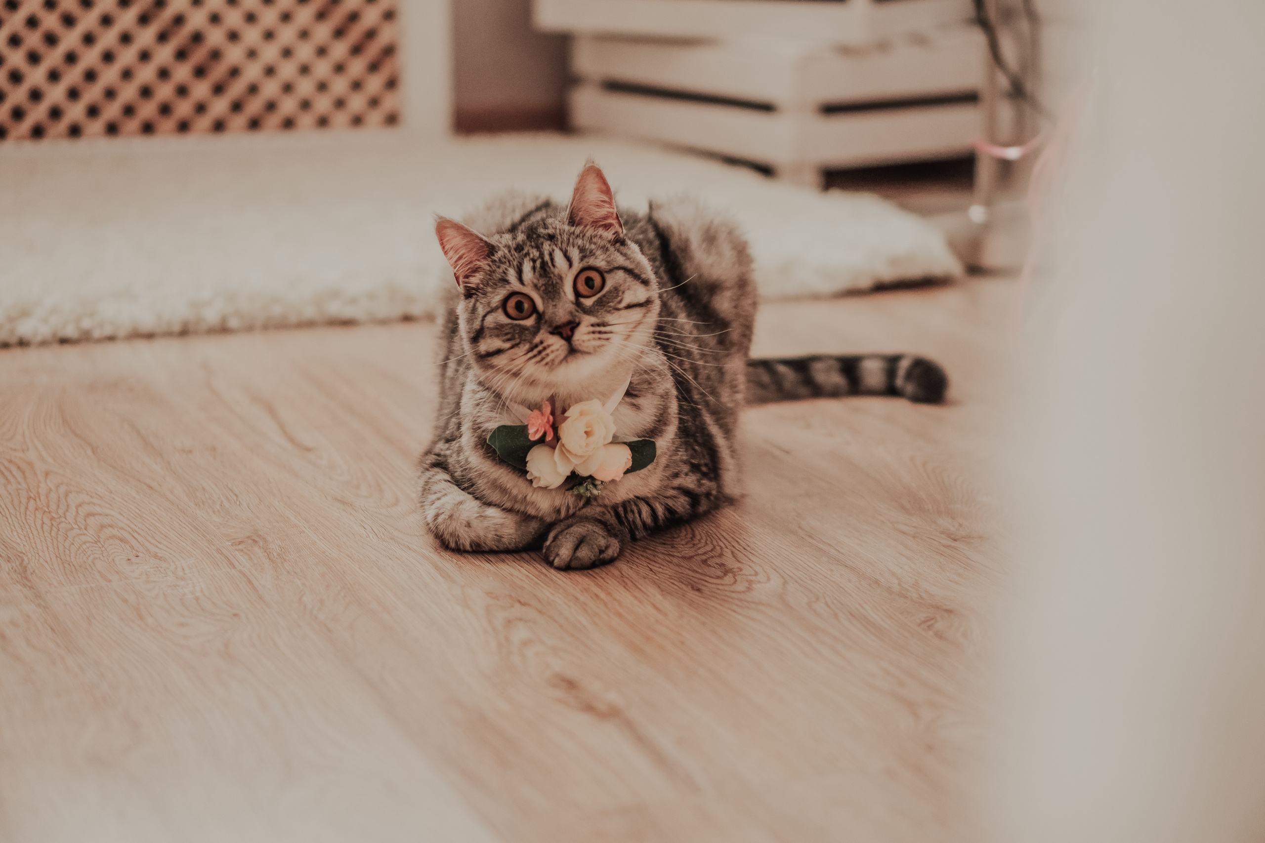 Саша и Аня. Свадебный фотограф в Москве