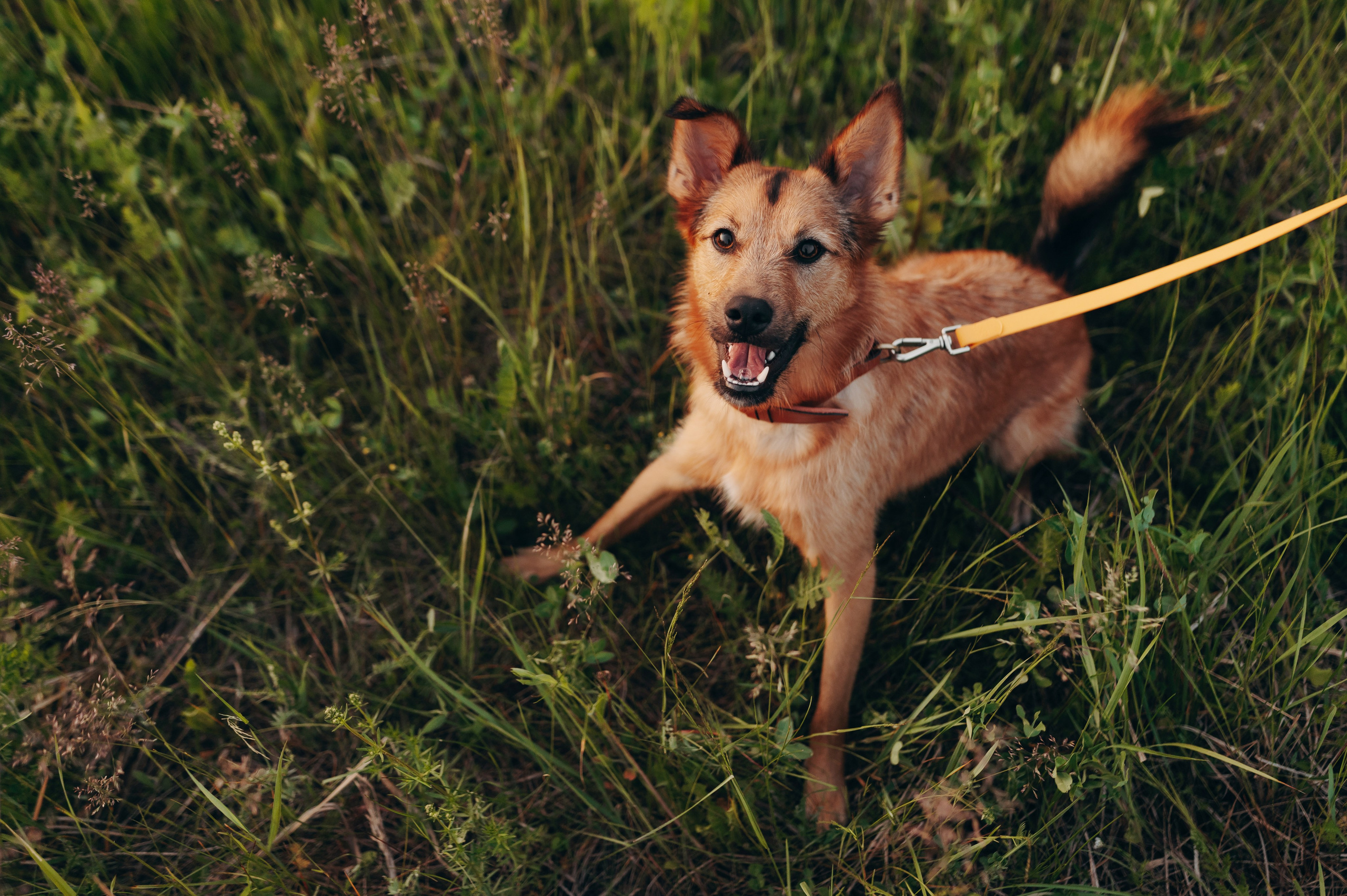 Яна и Санька. Главная