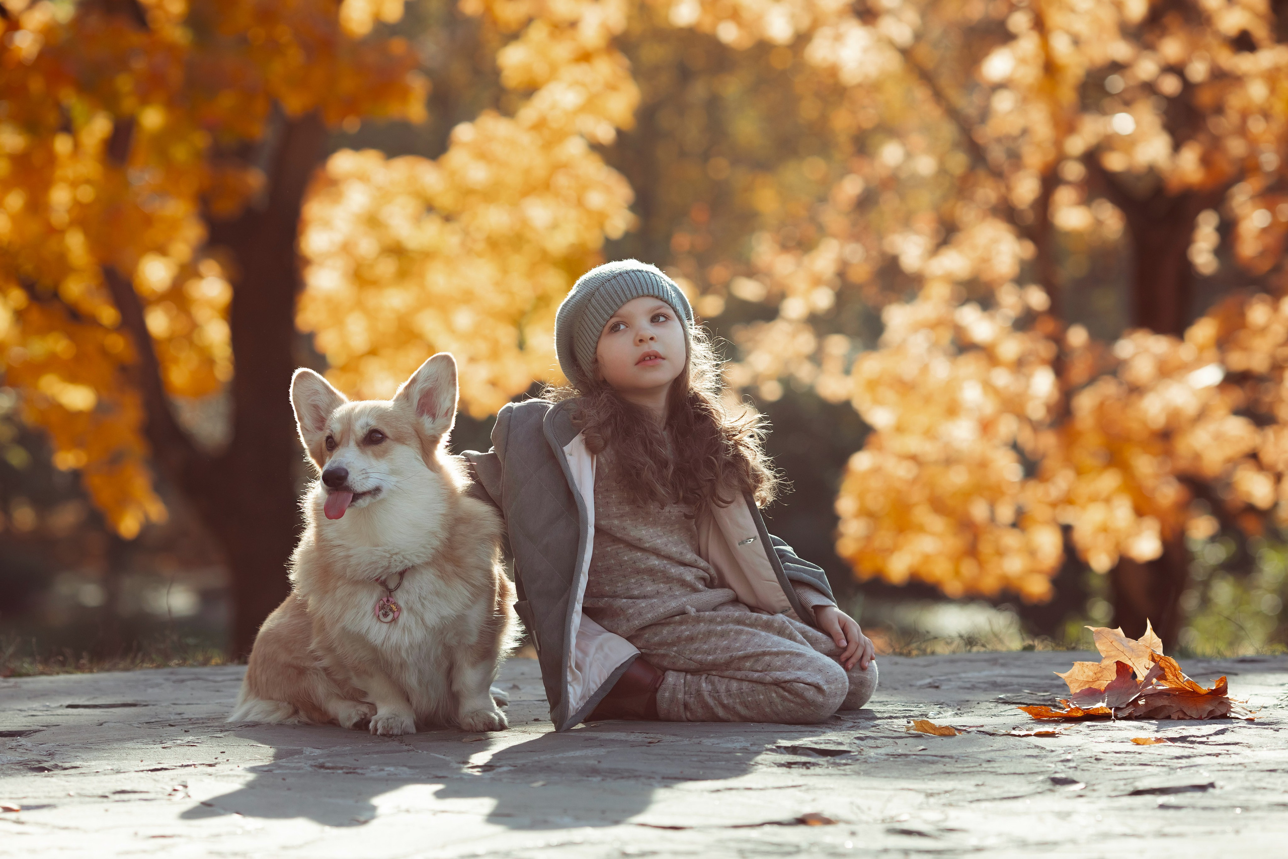 Эва с корги. Семейный и детский фотограф в Москве Дорогова Екатерина