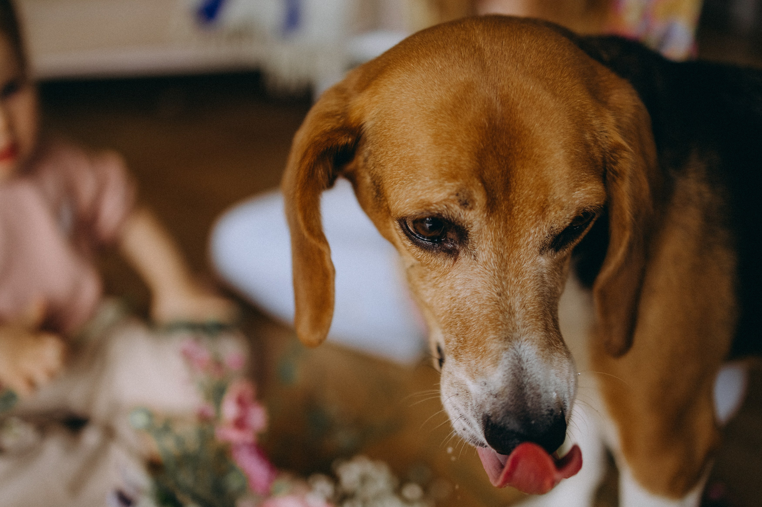 Инна и Ханна. Главная