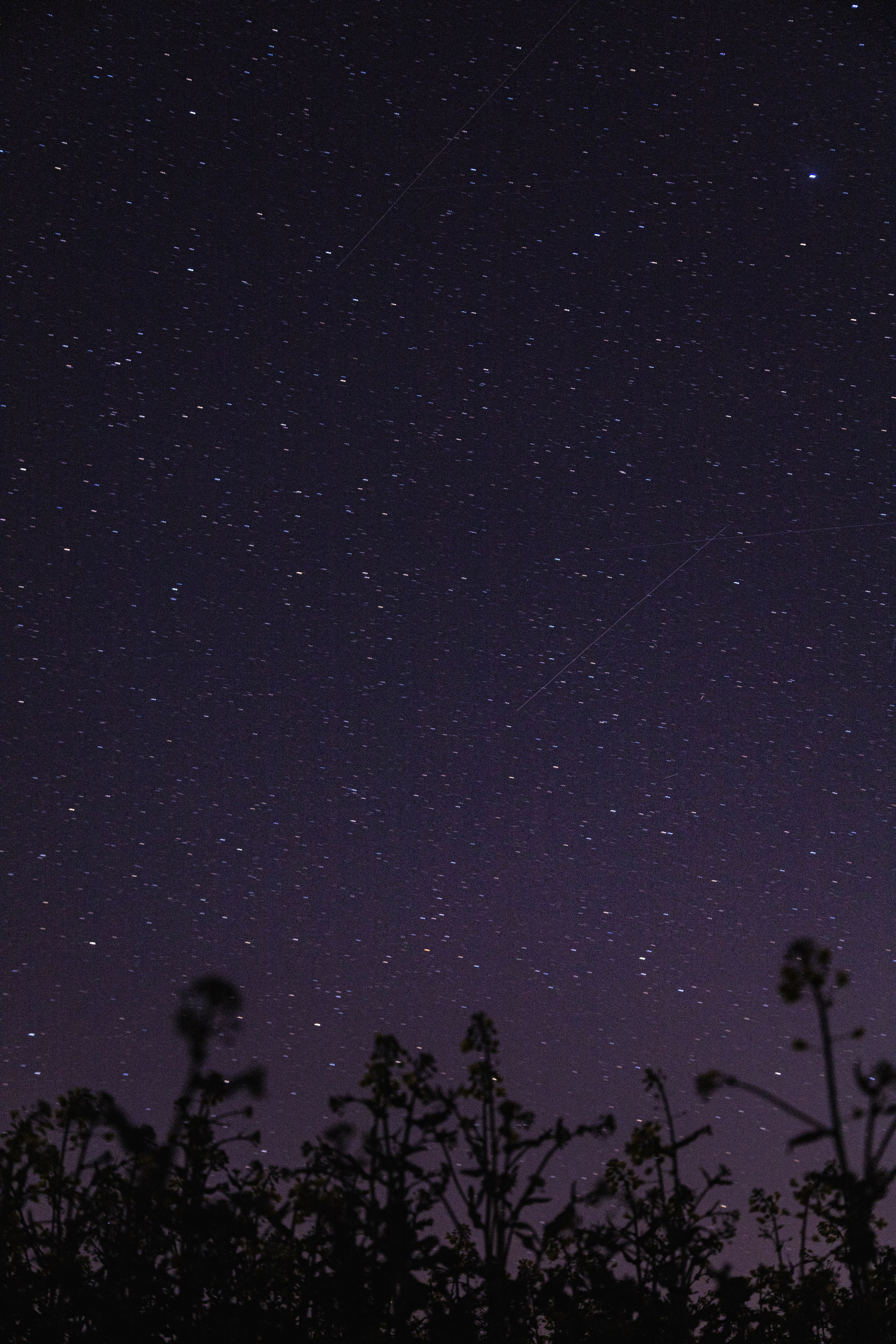 Н О Ч Н Ы Е