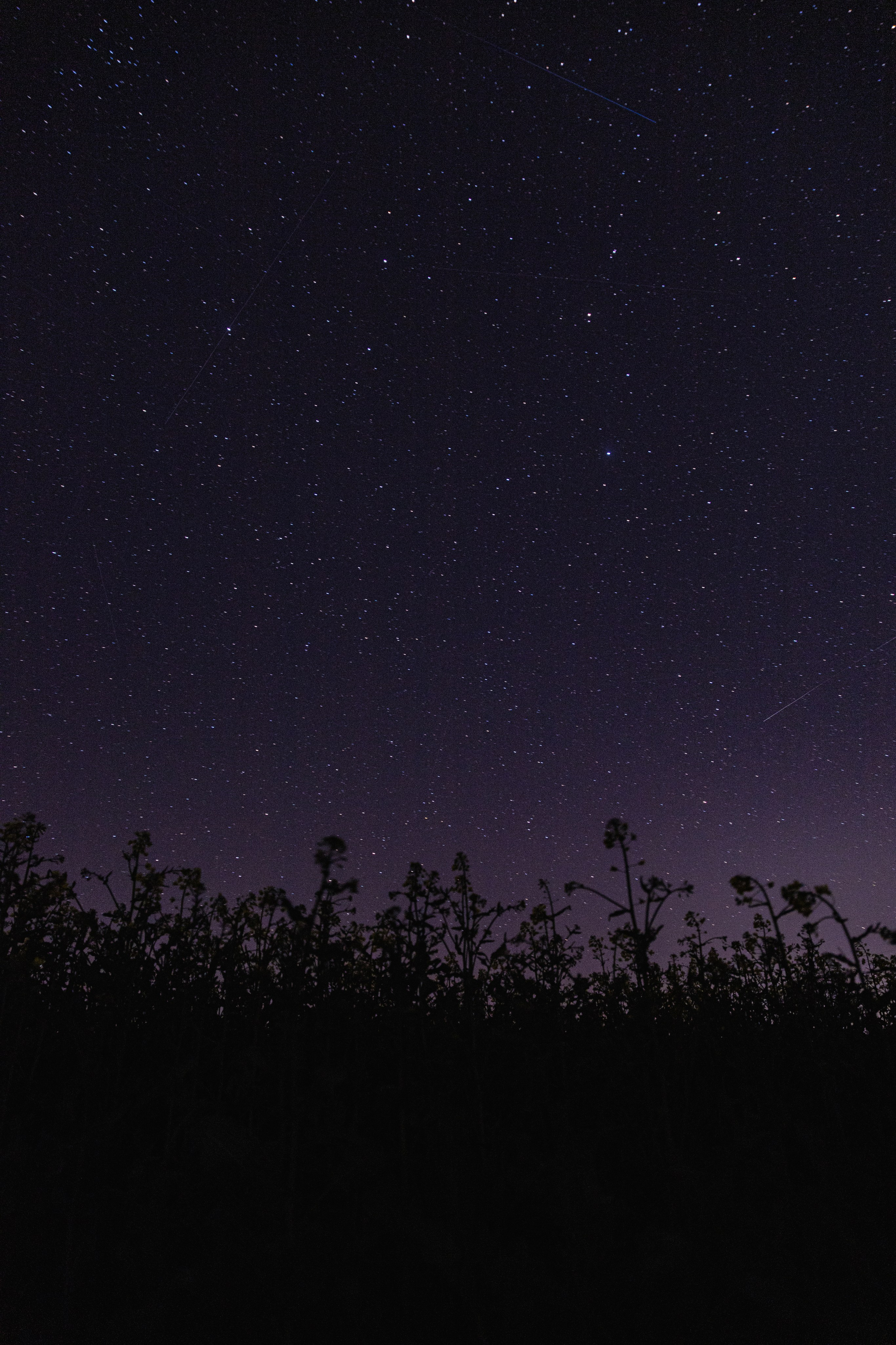 Н О Ч Н Ы Е. — Digital Noise —