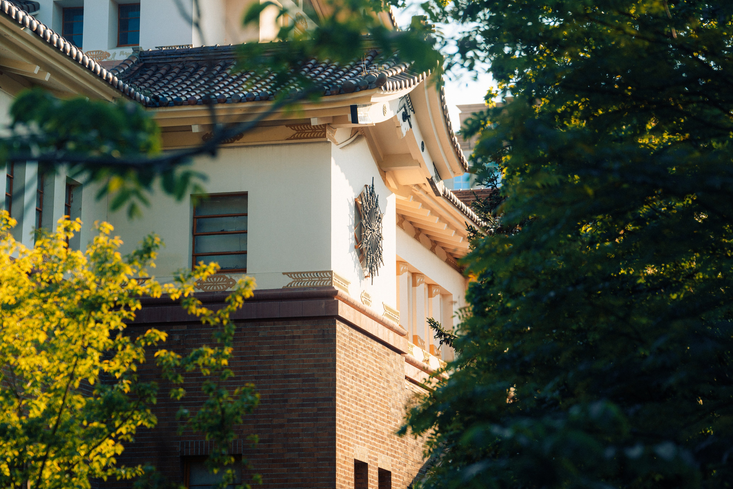 地方历史博物馆. Ivan Zaitsev (IZIART) — 通过照片和视频创建文化代码