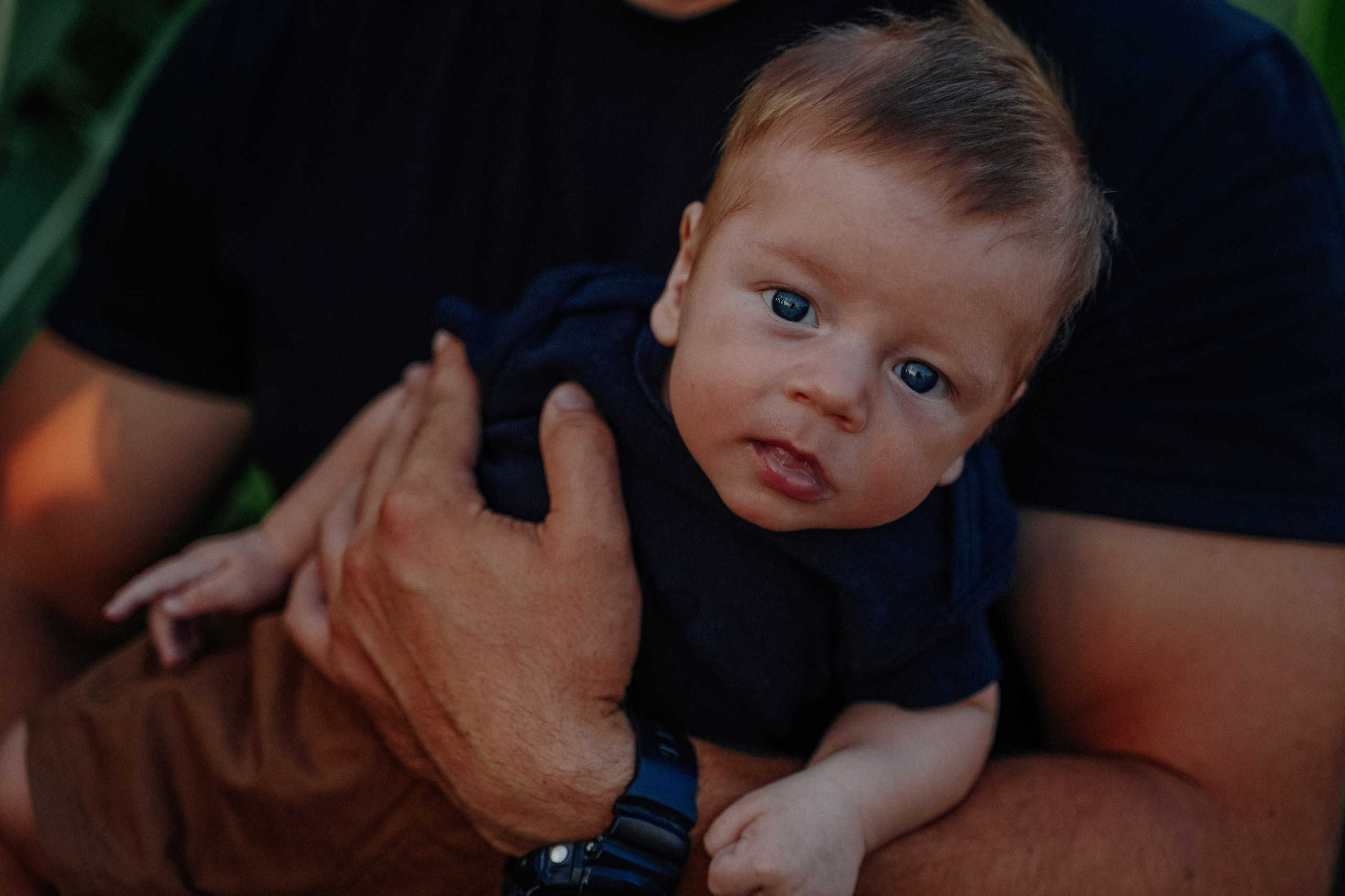 Фотосессия в кукурузном поле. Семейный и женский фотограф в Краснодаре Анастасия Приймак