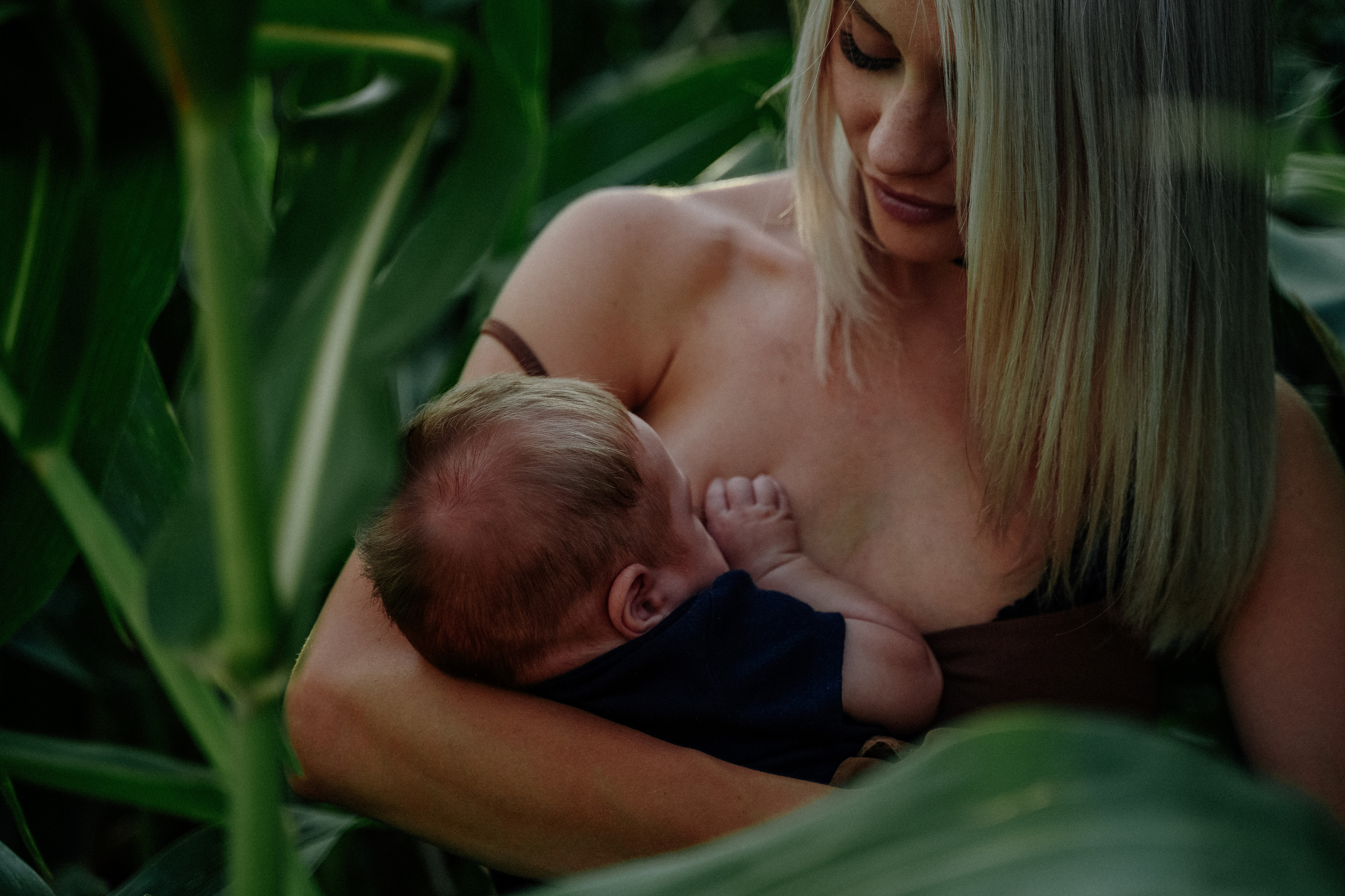 Фотосессия в кукурузном поле. Семейный и женский фотограф в Краснодаре Анастасия Приймак