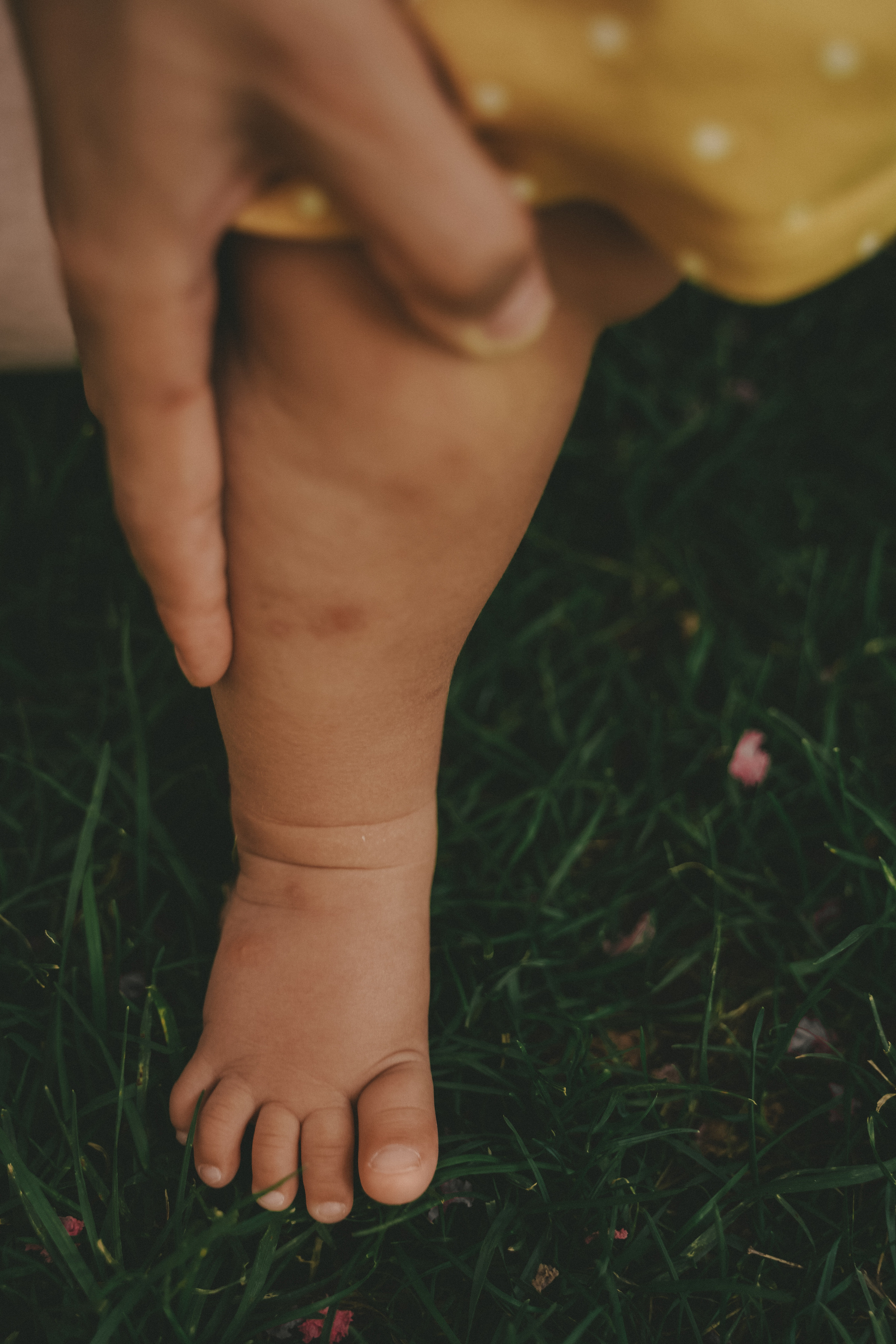 Семейная фотосессия с малышкой в парке Галицкого. Семейный и женский фотограф в Краснодаре Анастасия Приймак