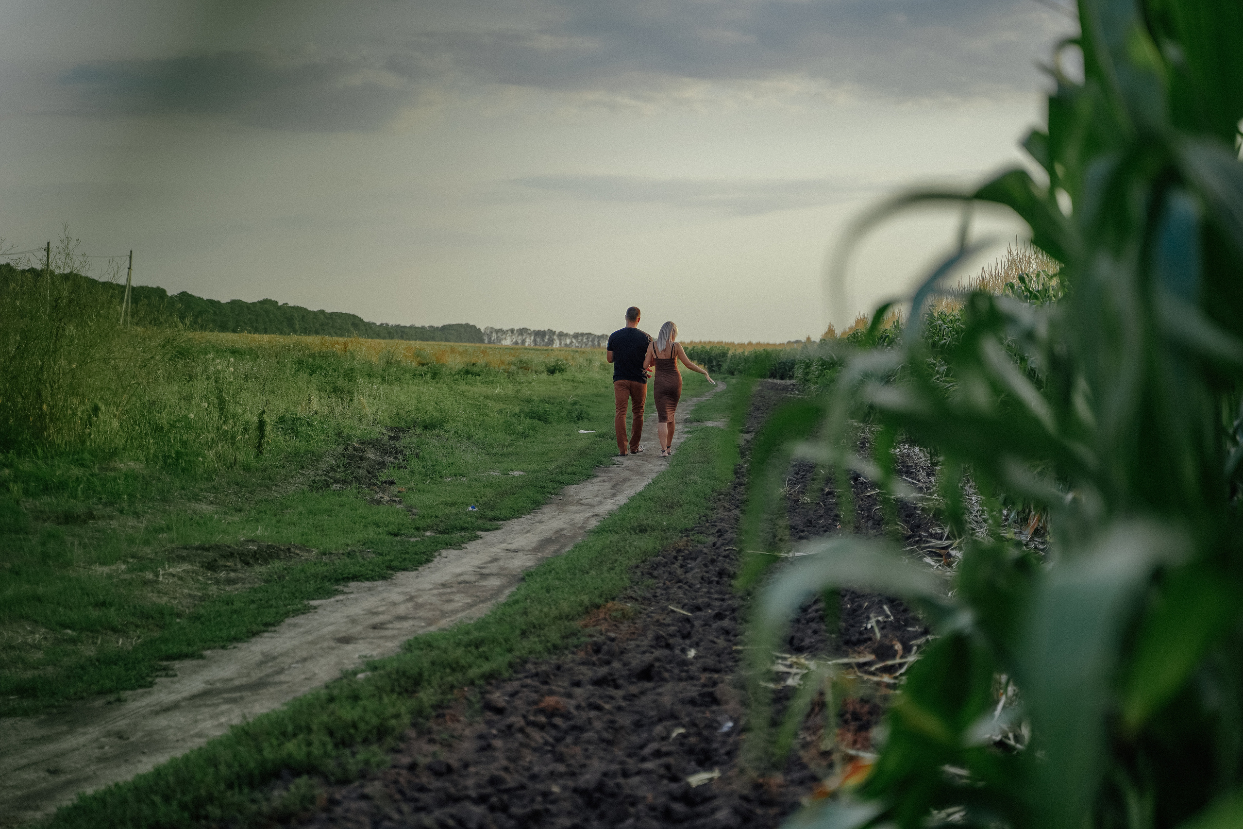 Фотосессия в кукурузном поле. Семейный и женский фотограф в Краснодаре Анастасия Приймак