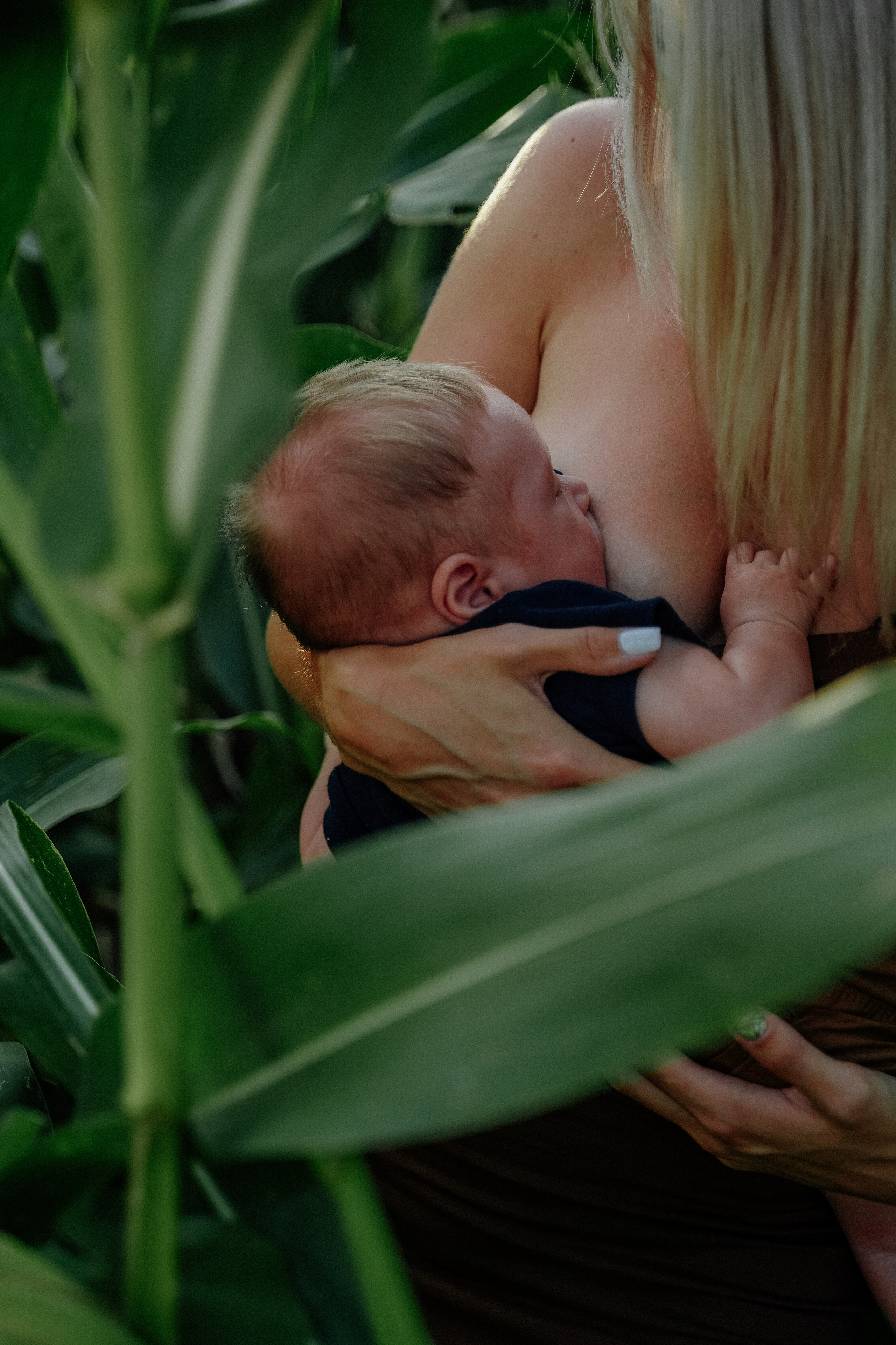 Фотосессия в кукурузном поле. Семейный и женский фотограф в Краснодаре Анастасия Приймак