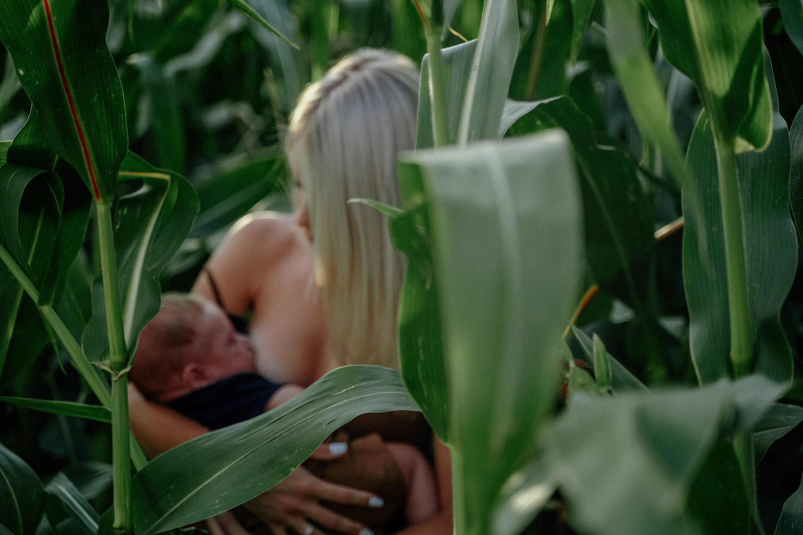 Фотосессия в кукурузном поле. Семейный и женский фотограф в Краснодаре Анастасия Приймак