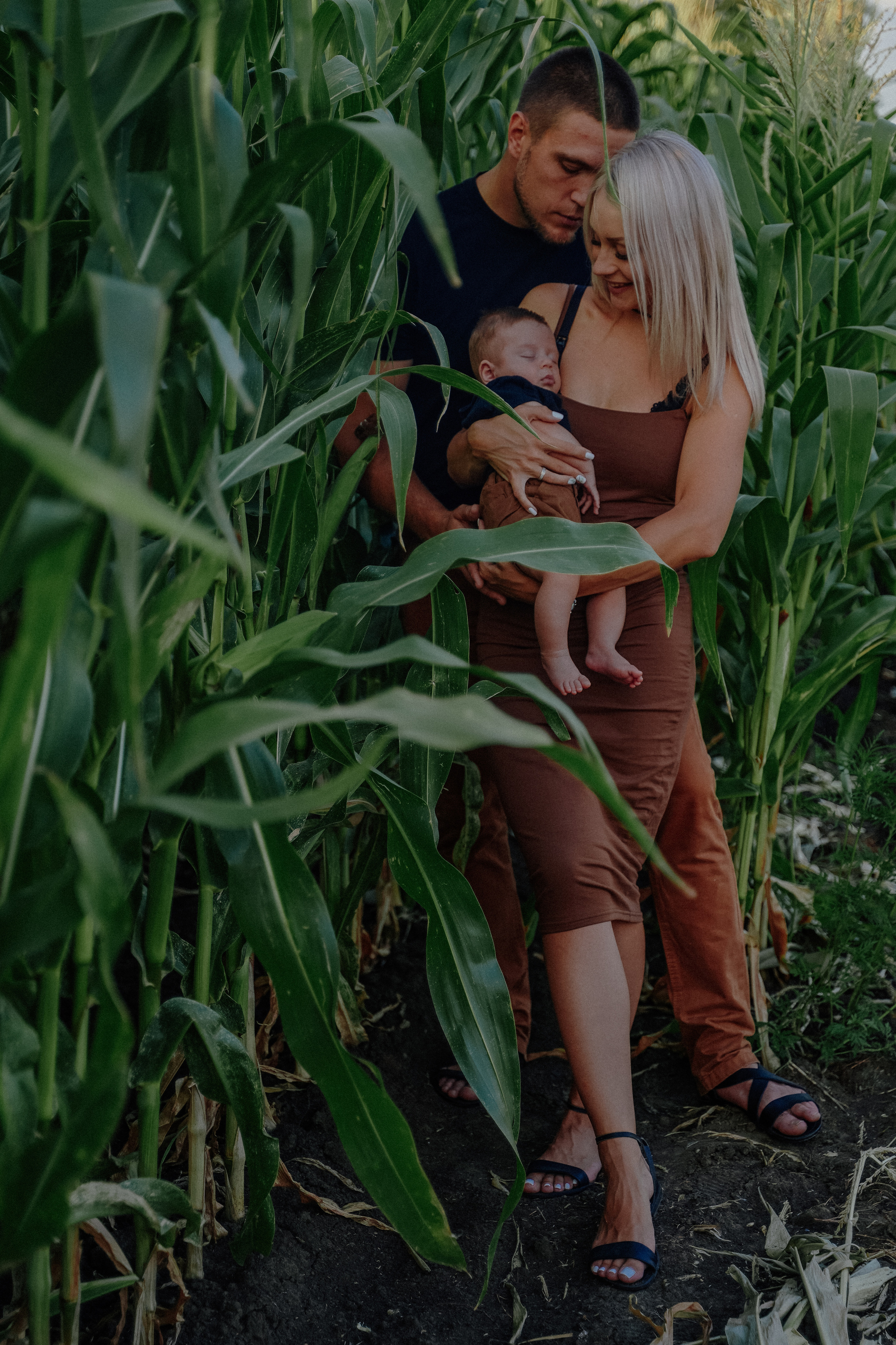 Фотосессия в кукурузном поле. Семейный и женский фотограф в Краснодаре Анастасия Приймак