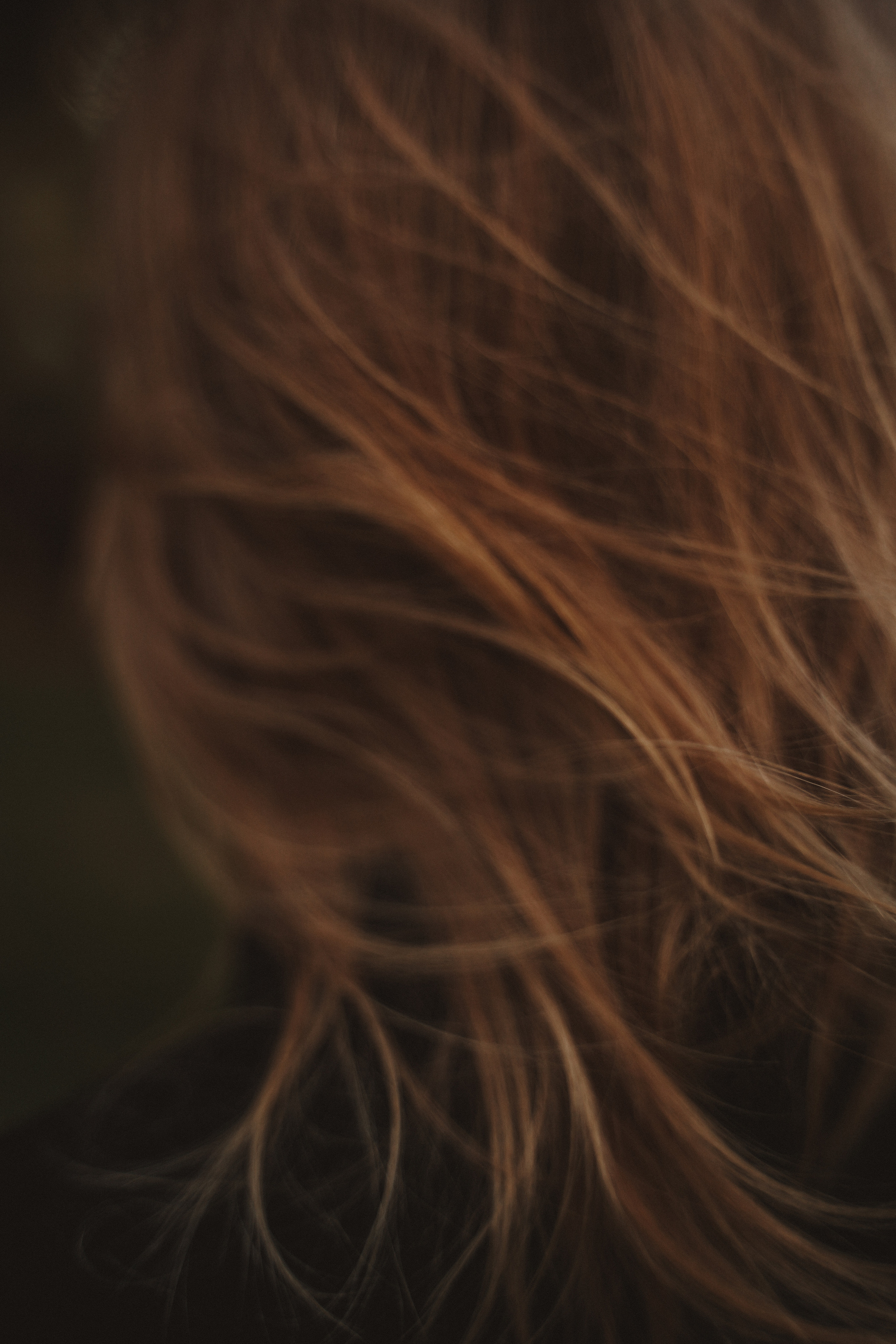 Стильная осенняя фотосессия. Семейный и женский фотограф в Краснодаре Анастасия Приймак