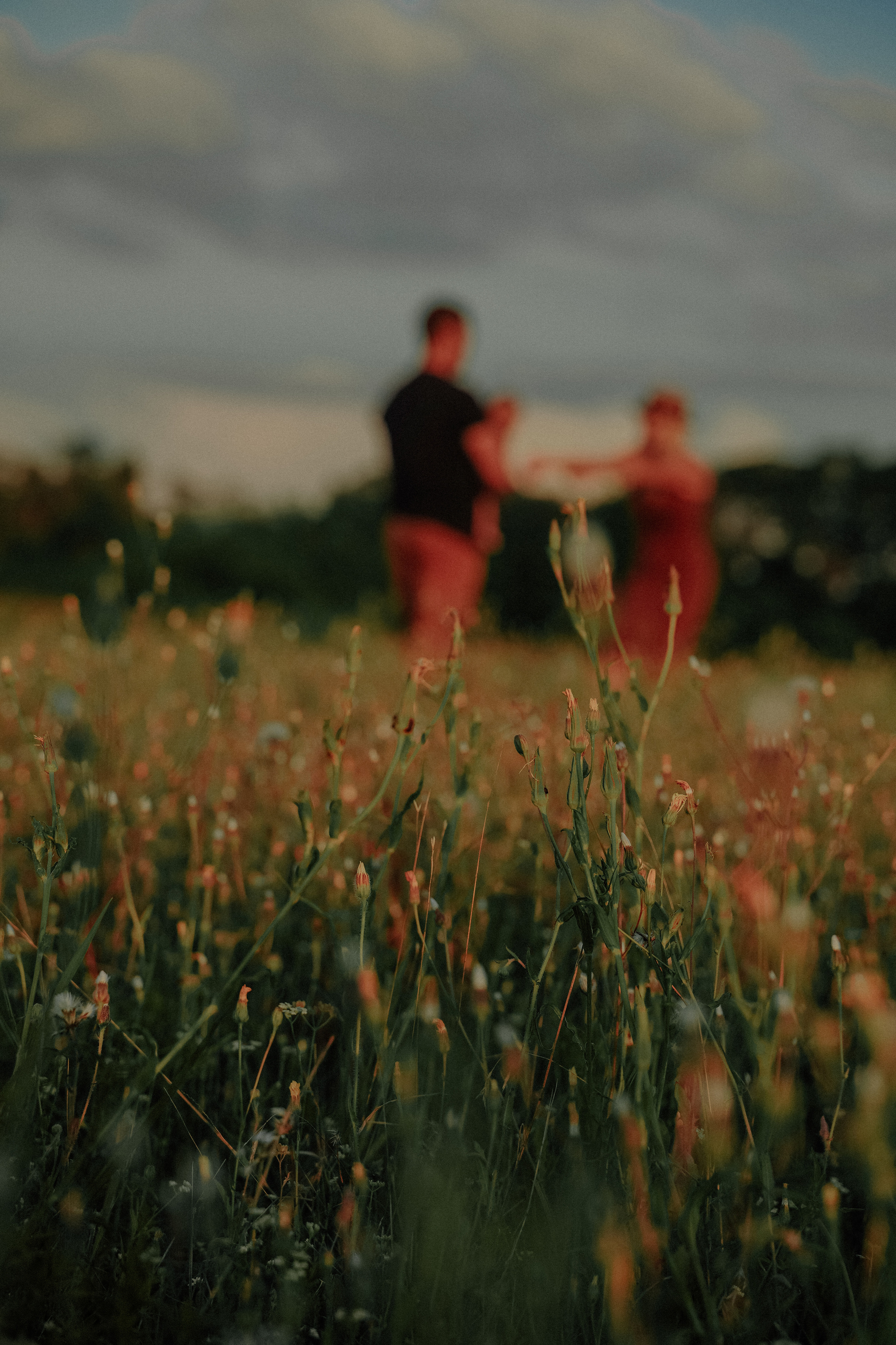 Фотосессия в кукурузном поле. Семейный и женский фотограф в Краснодаре Анастасия Приймак