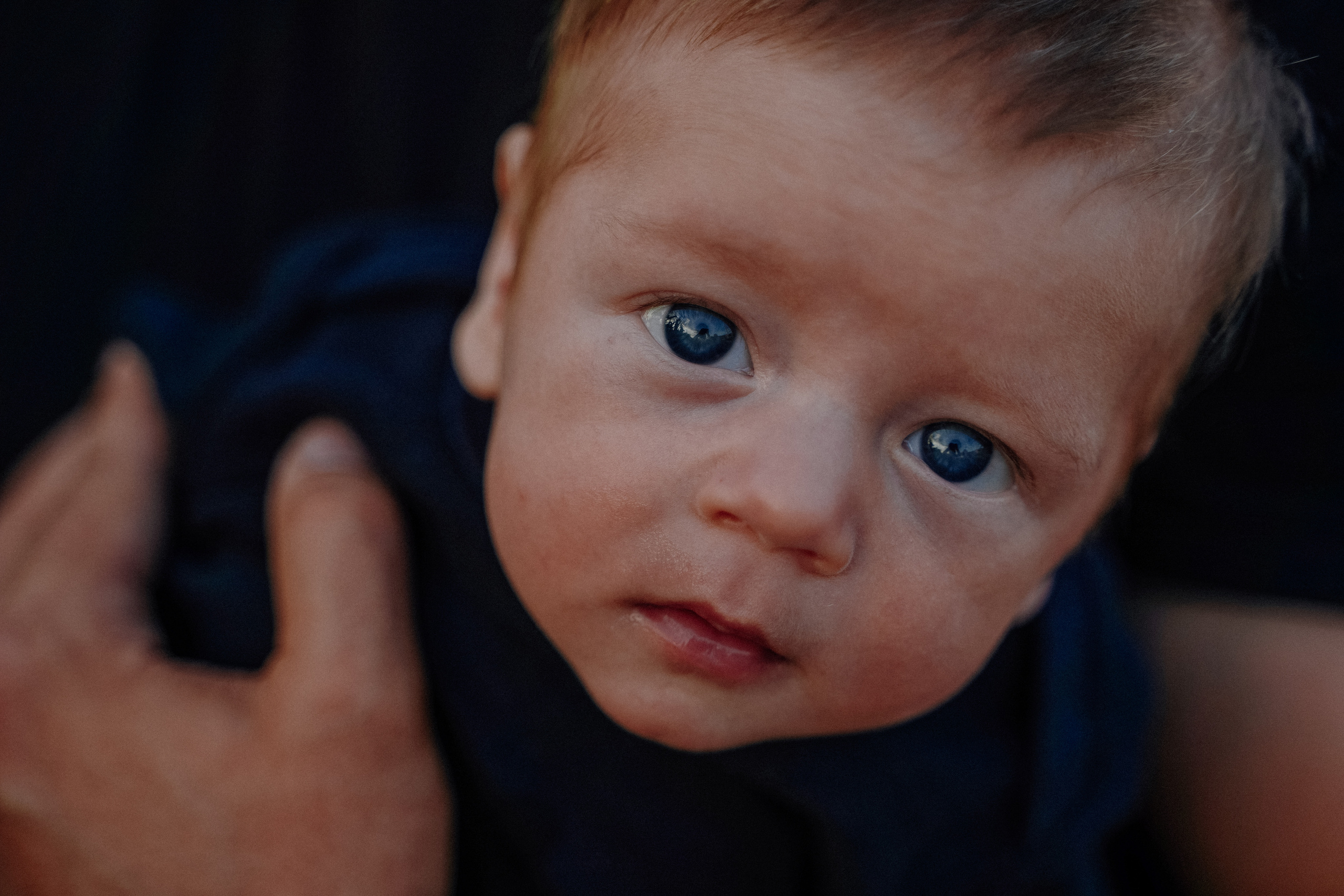 Фотосессия в кукурузном поле. Семейный и женский фотограф в Краснодаре Анастасия Приймак