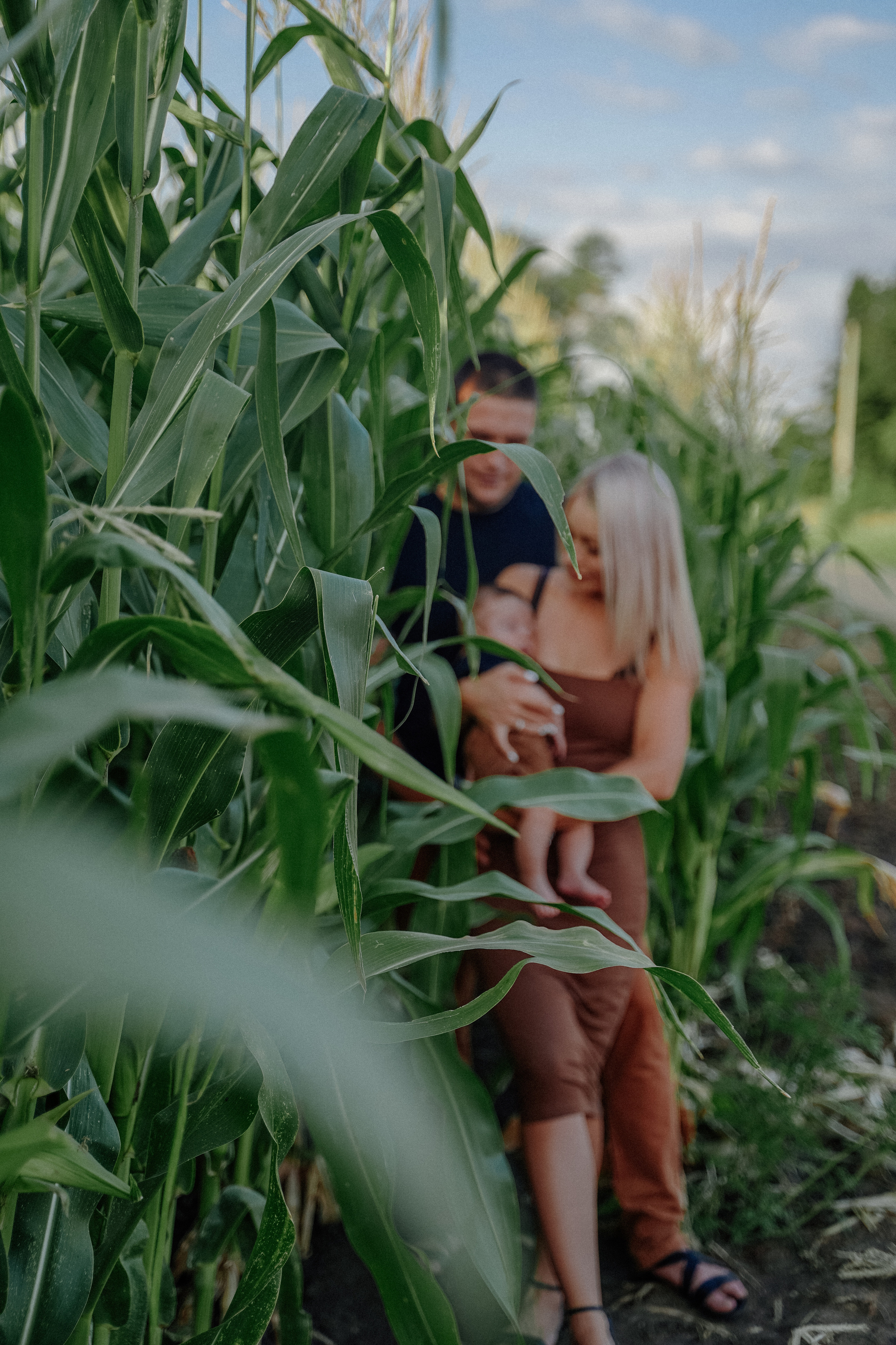 Фотосессия в кукурузном поле. Семейный и женский фотограф в Краснодаре Анастасия Приймак