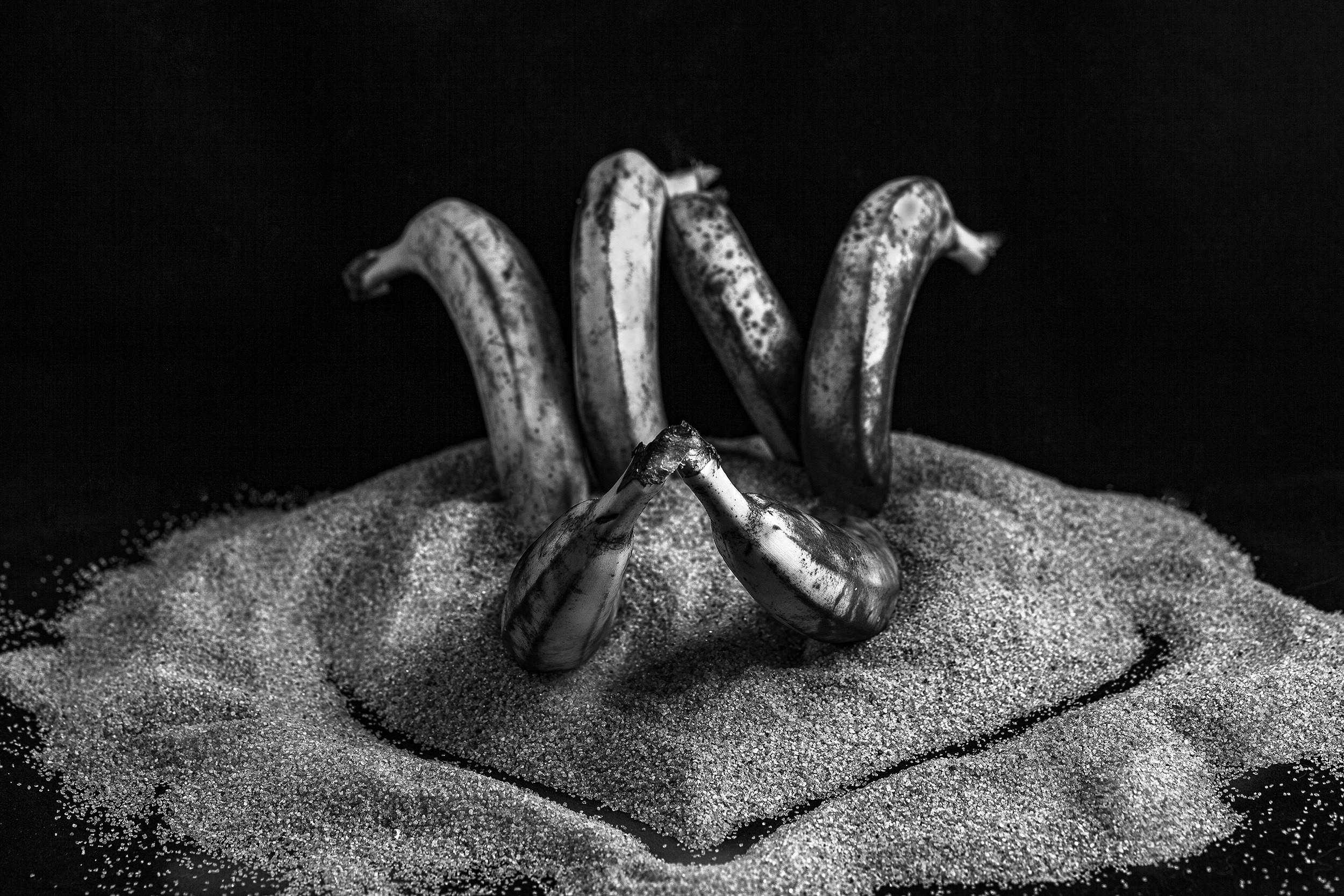 Красота тоже рядом с нами. Медиапродюсер, фотограф в Минеральных Водах —Виктор Холодов