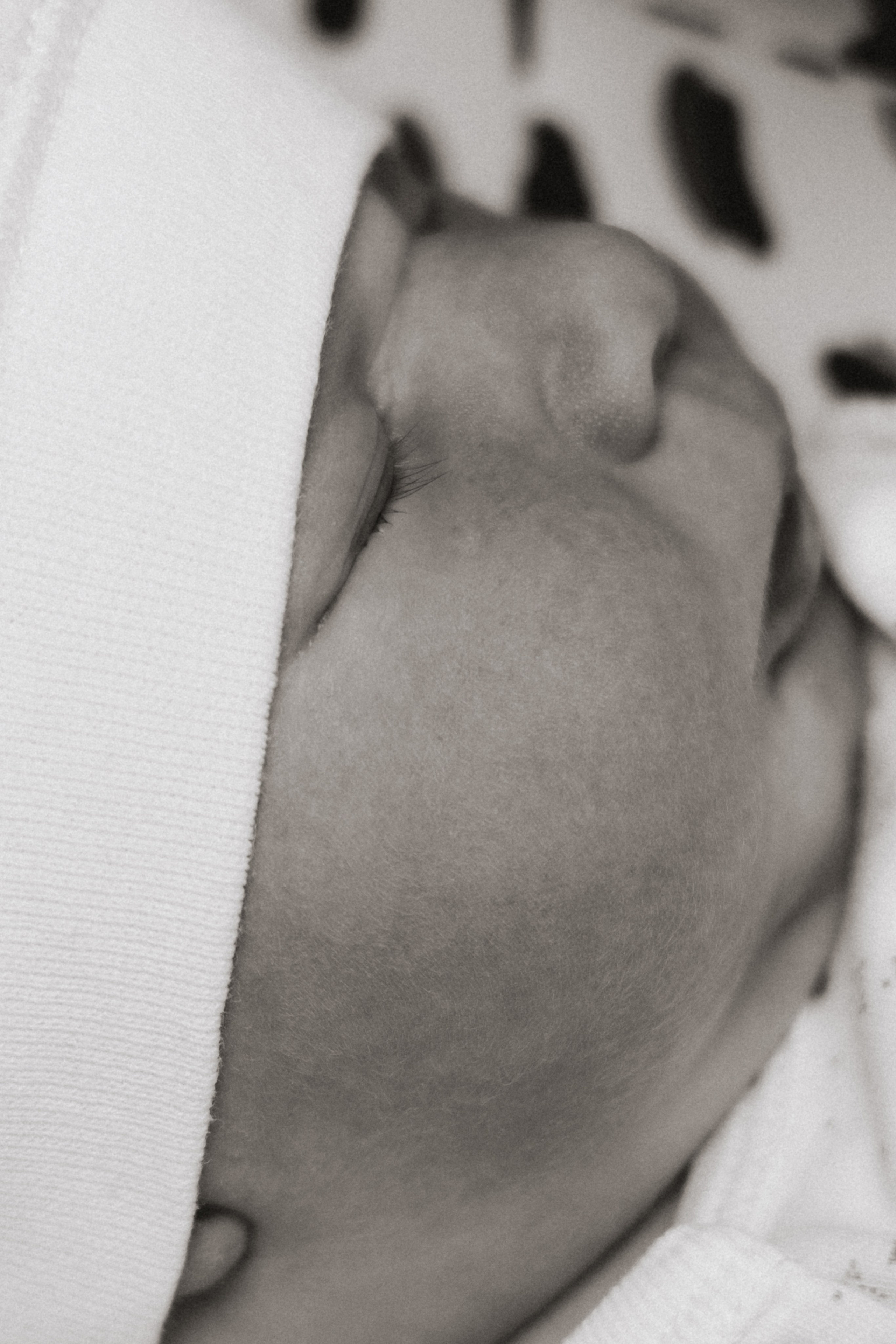 Екатерининская 3.08. Свадебный и семейный фотограф в Краснодаре Диана Смирнова