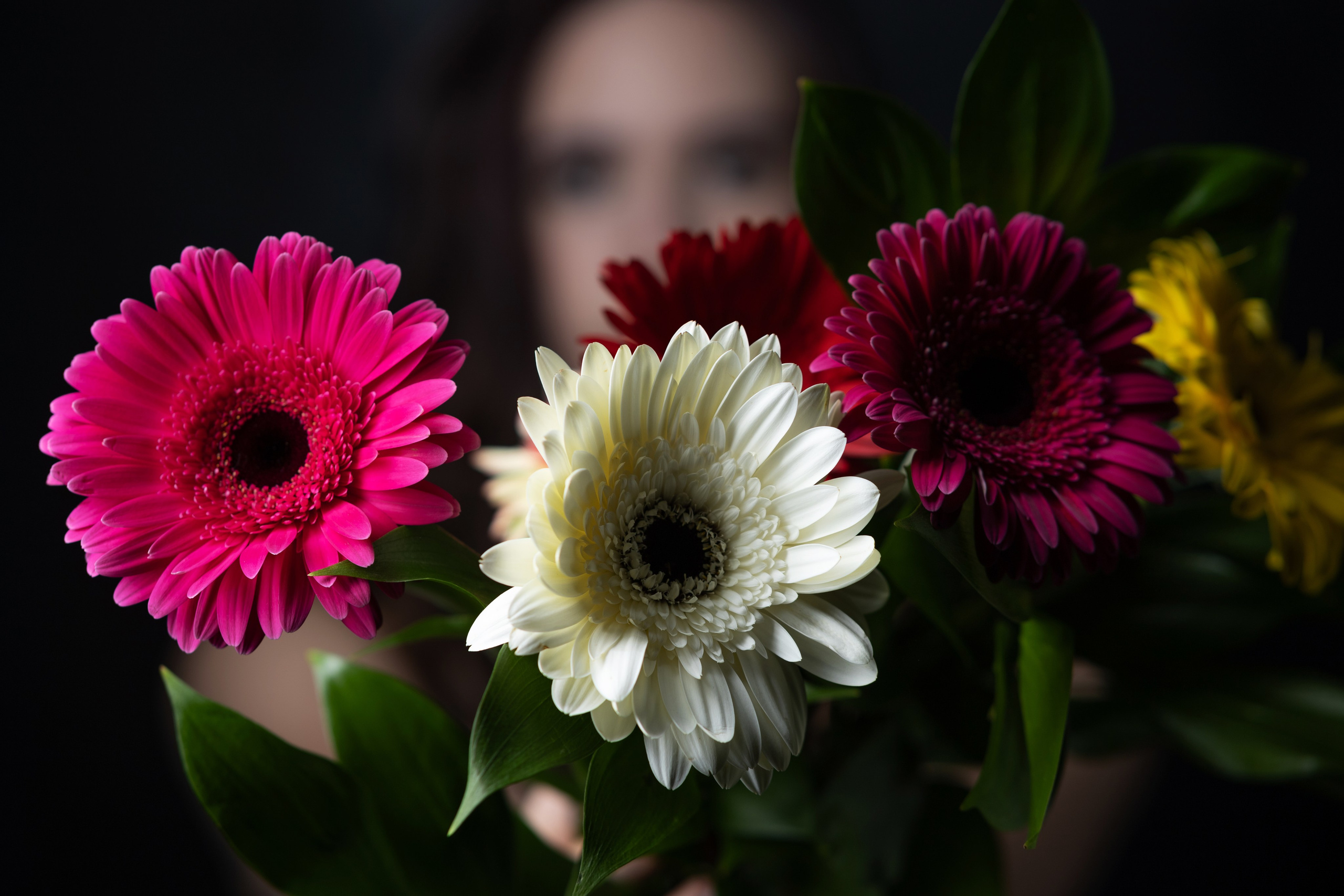 Мария цвет. Фотограф Михаил Олейник