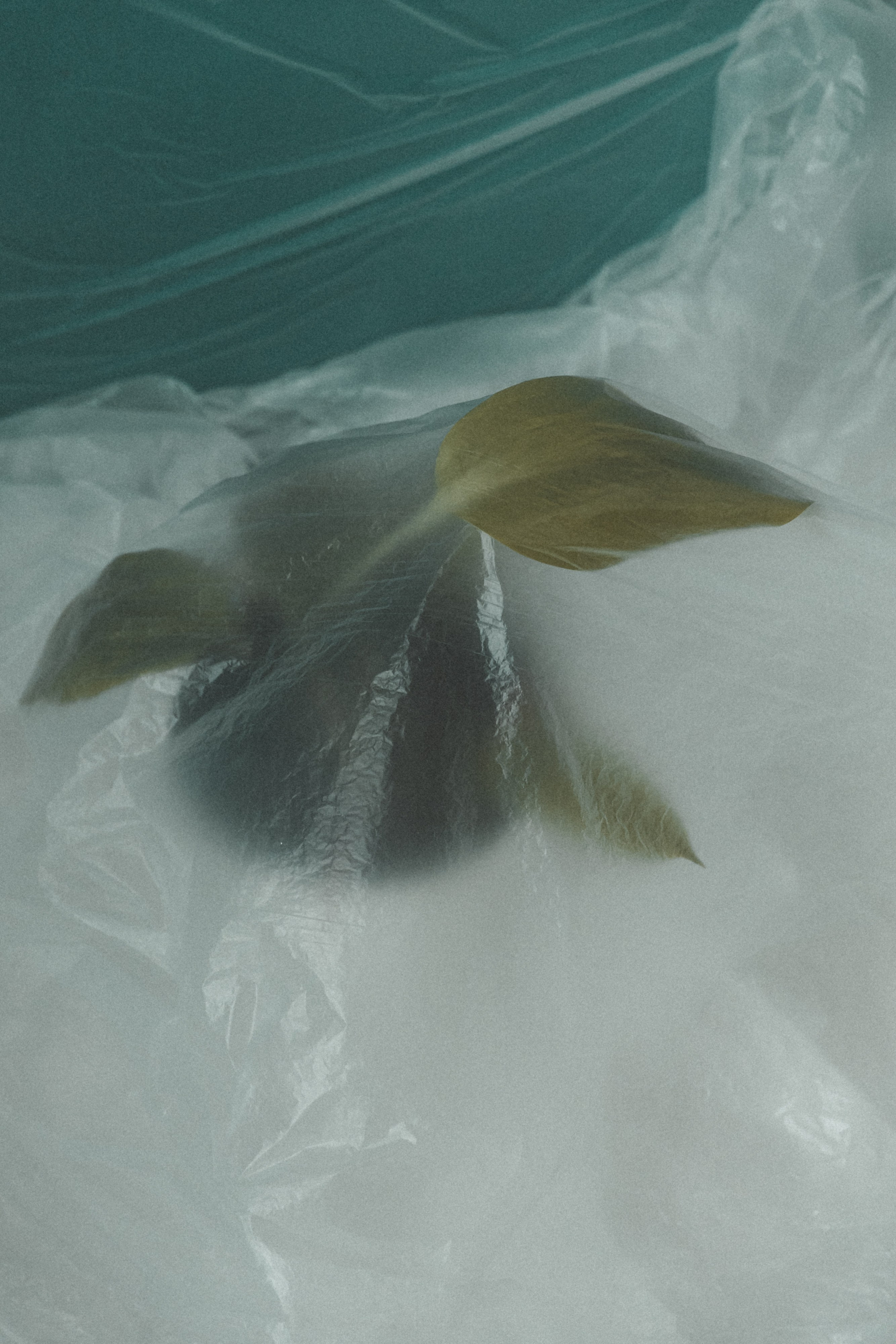 P L A S T I C. Свадебный фотограф Колесников Антон