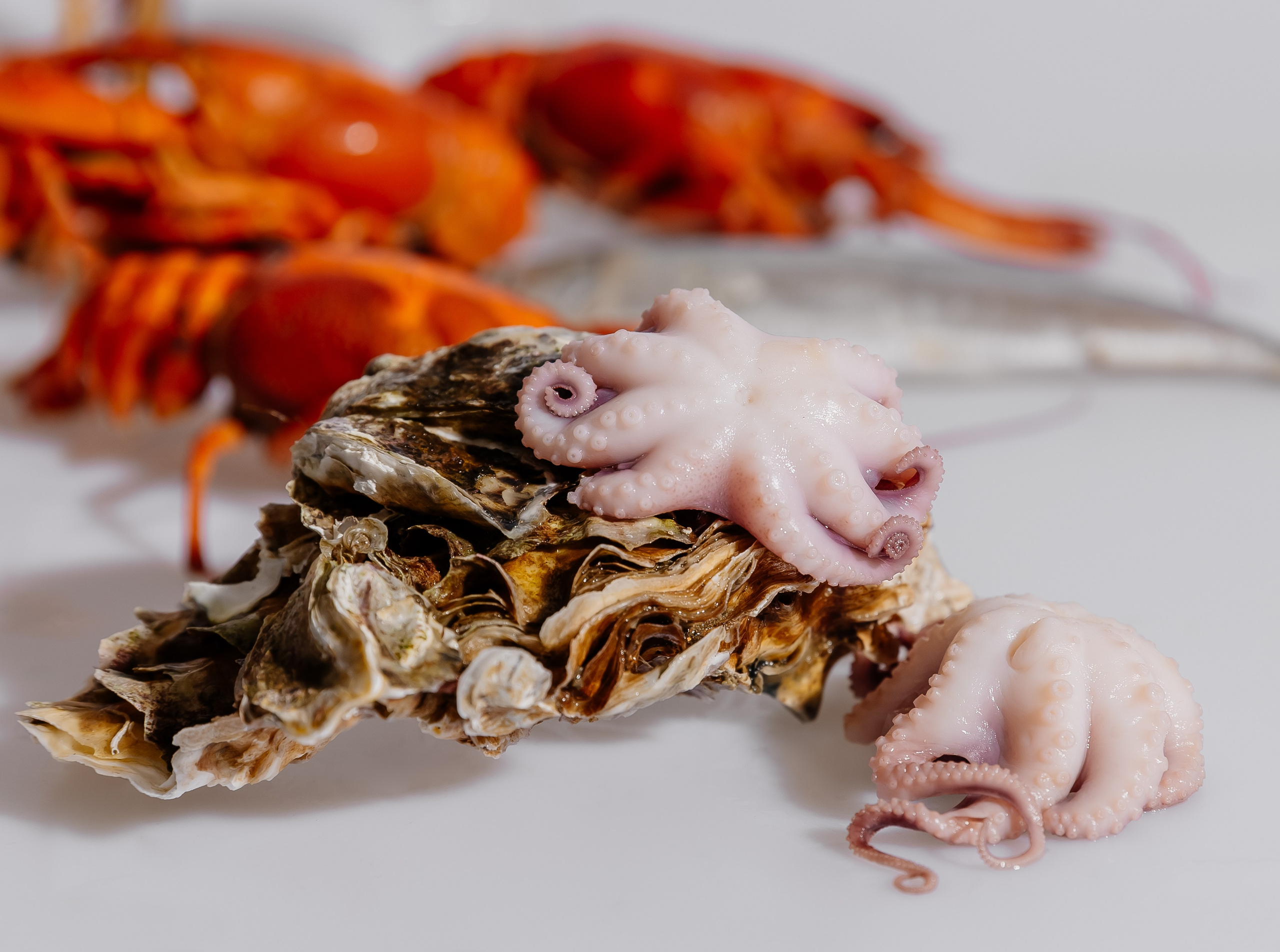 Splash.sea. Профессиональный фотограф Инесса Новикова в Москве