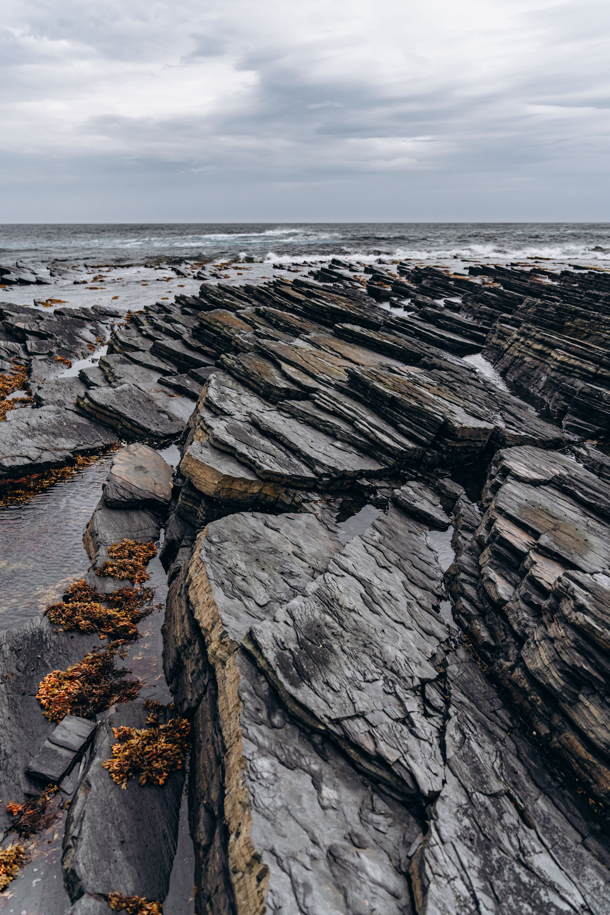 СЕВЕР. Event фотограф Степанова Александра