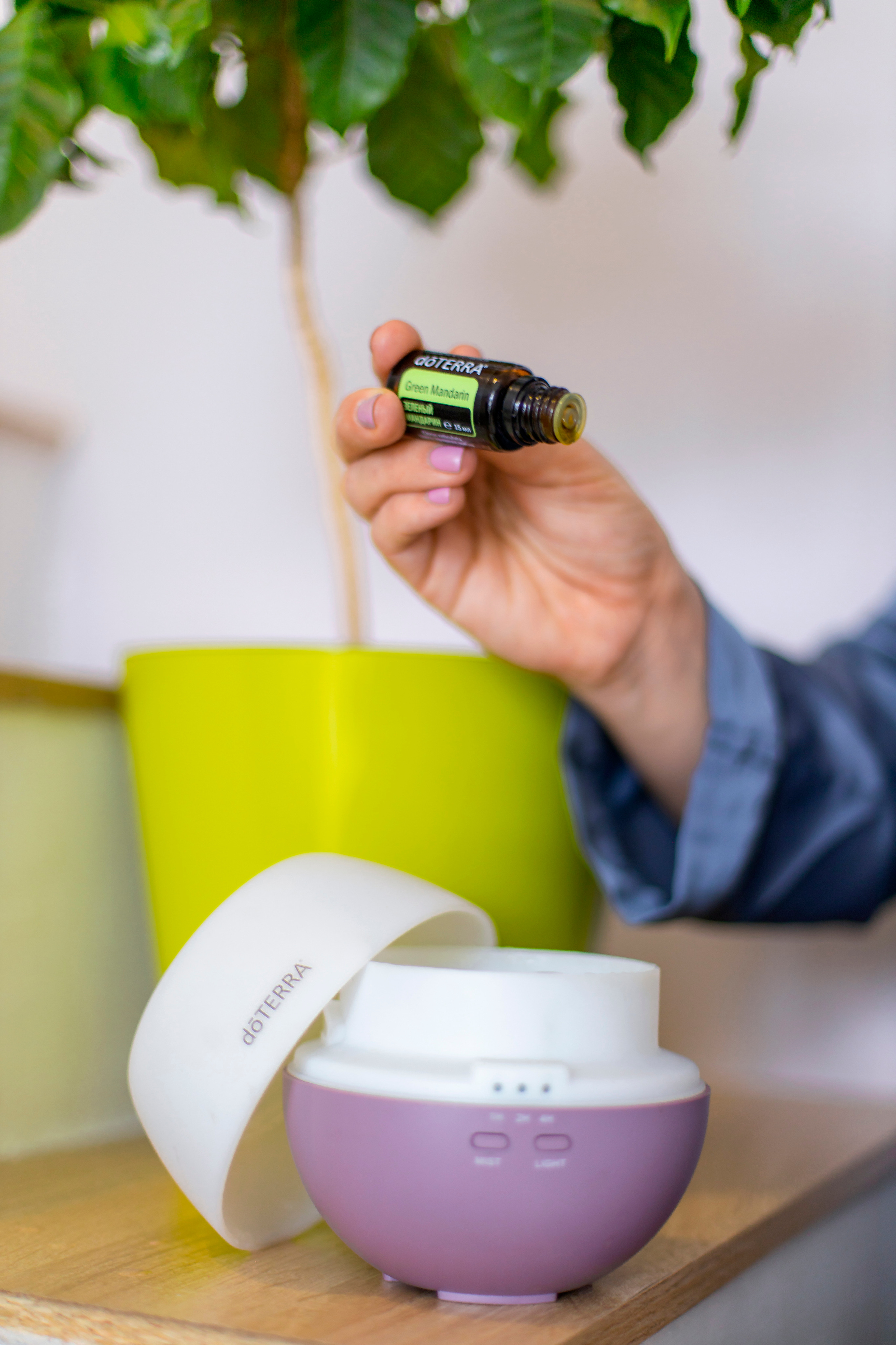 Эксперт по эфирным маслам Яна. Детский и семейный фотограф Калугина Марина | Москва и МО