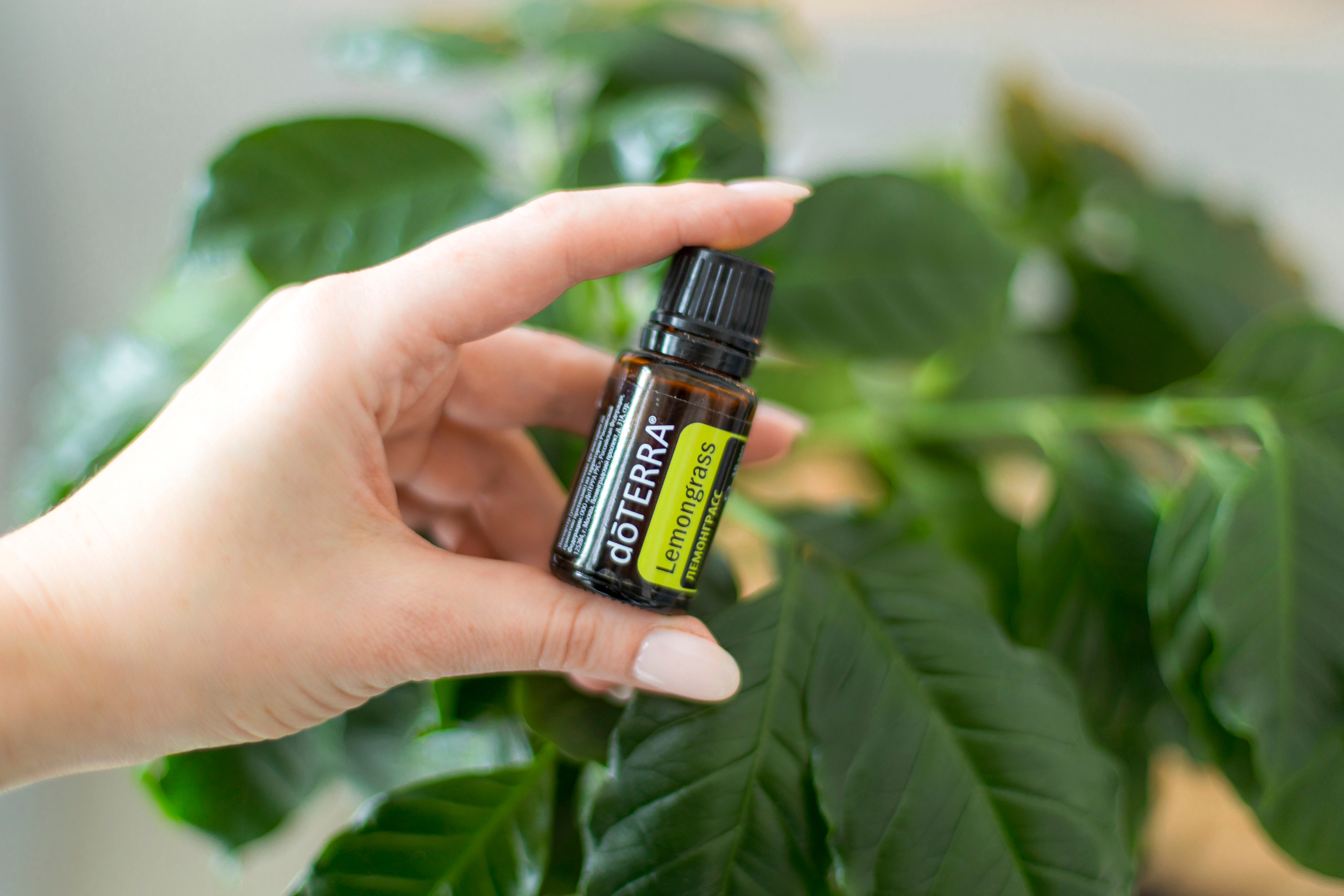 Эксперт по эфирным маслам Яна. Детский и семейный фотограф Калугина Марина | Москва и МО