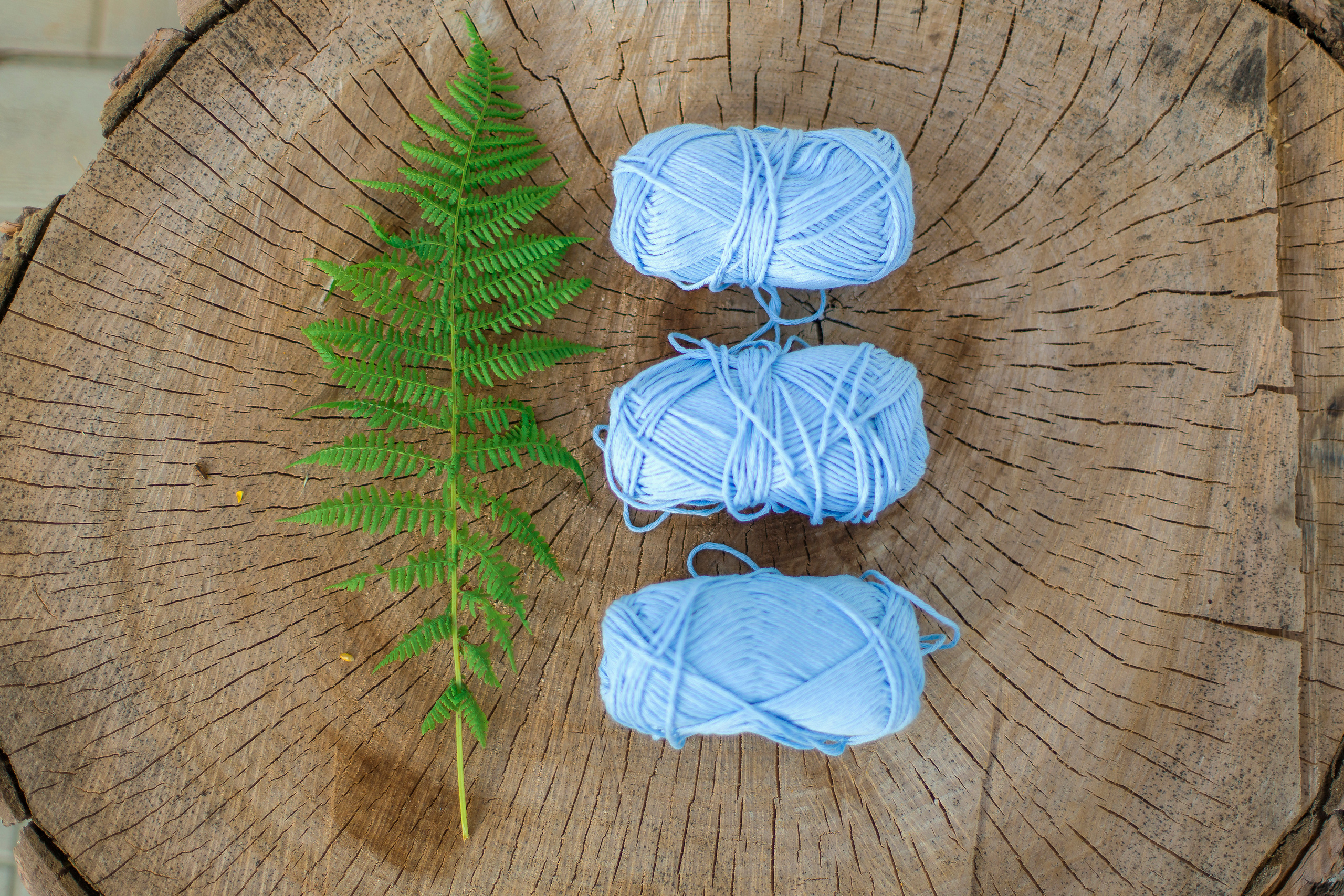 Блог рукодельницы Марии. Детский и семейный фотограф Калугина Марина | Москва и МО