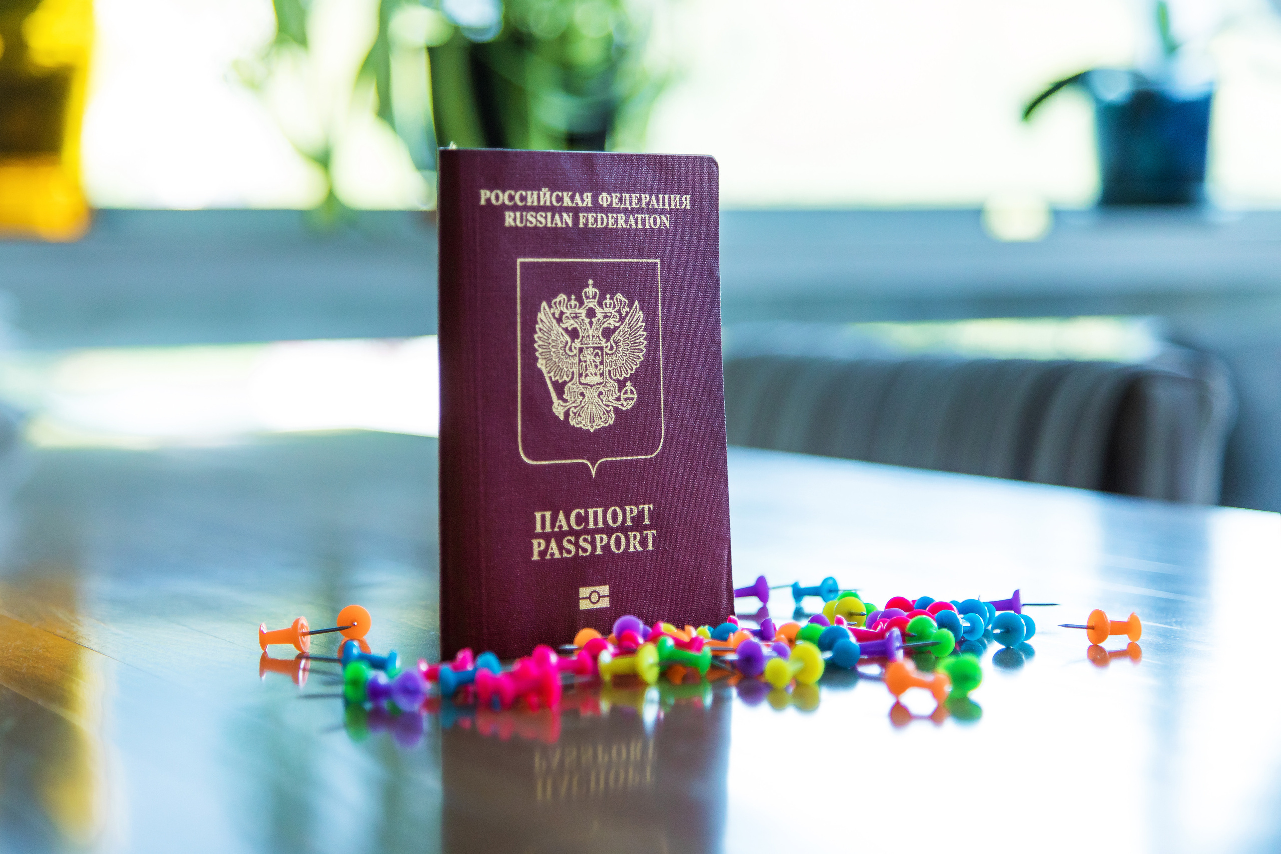 Финансовый консультант Елена Главацкая. Детский и семейный фотограф Калугина Марина | Москва и МО