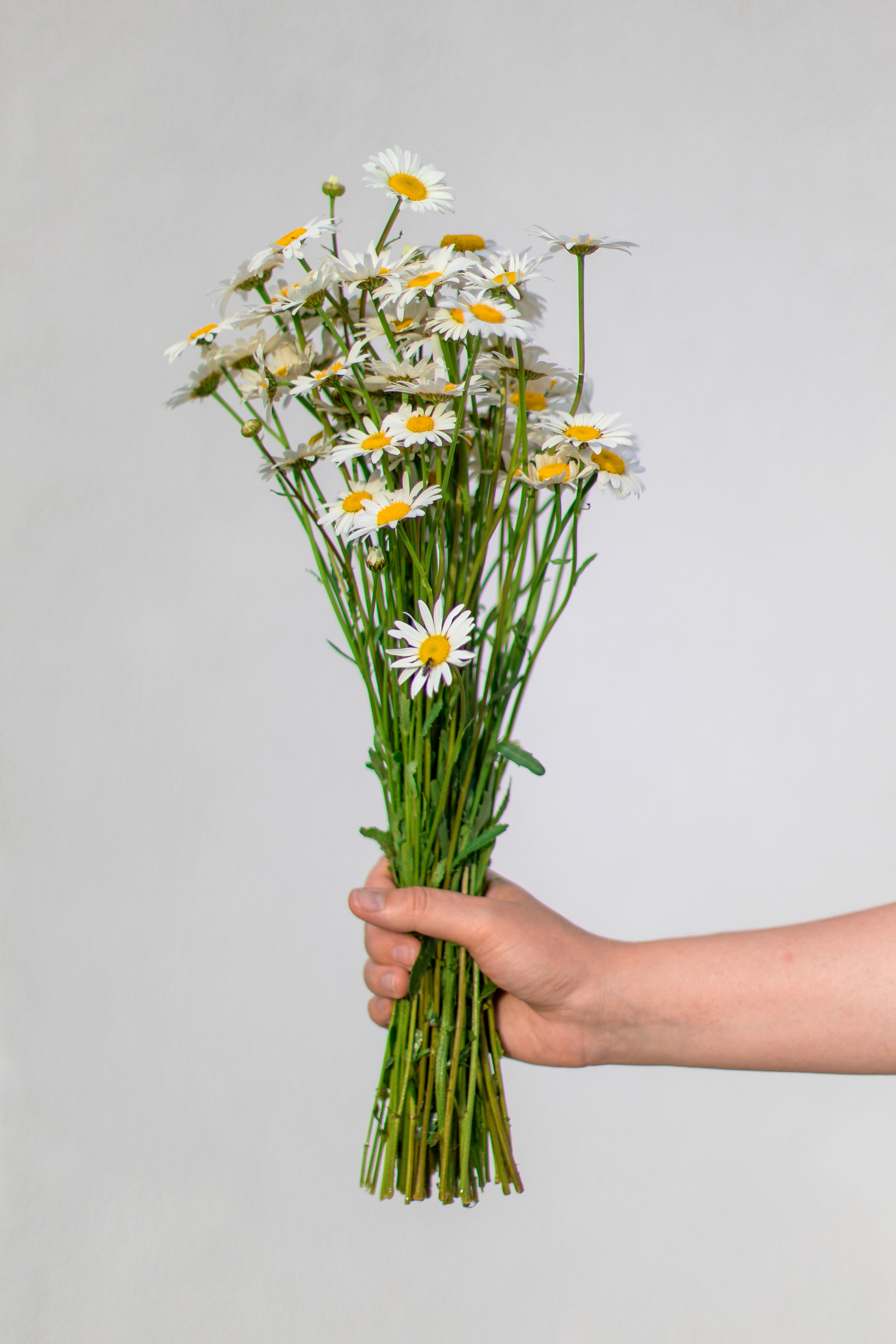 Блог рукодельницы Марии. Детский и семейный фотограф Калугина Марина | Москва и МО