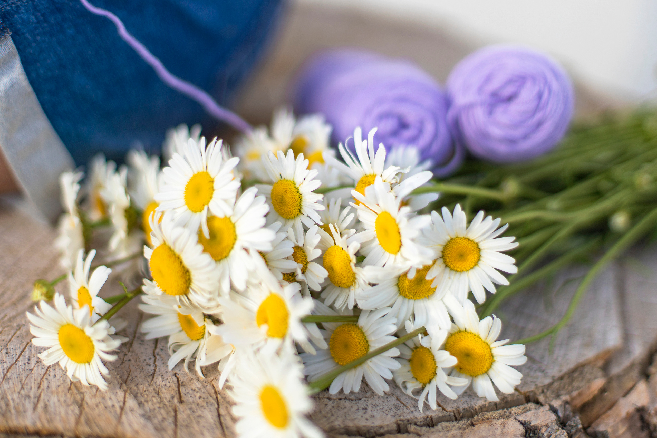 Блог рукодельницы Марии. Детский и семейный фотограф Калугина Марина | Москва и МО