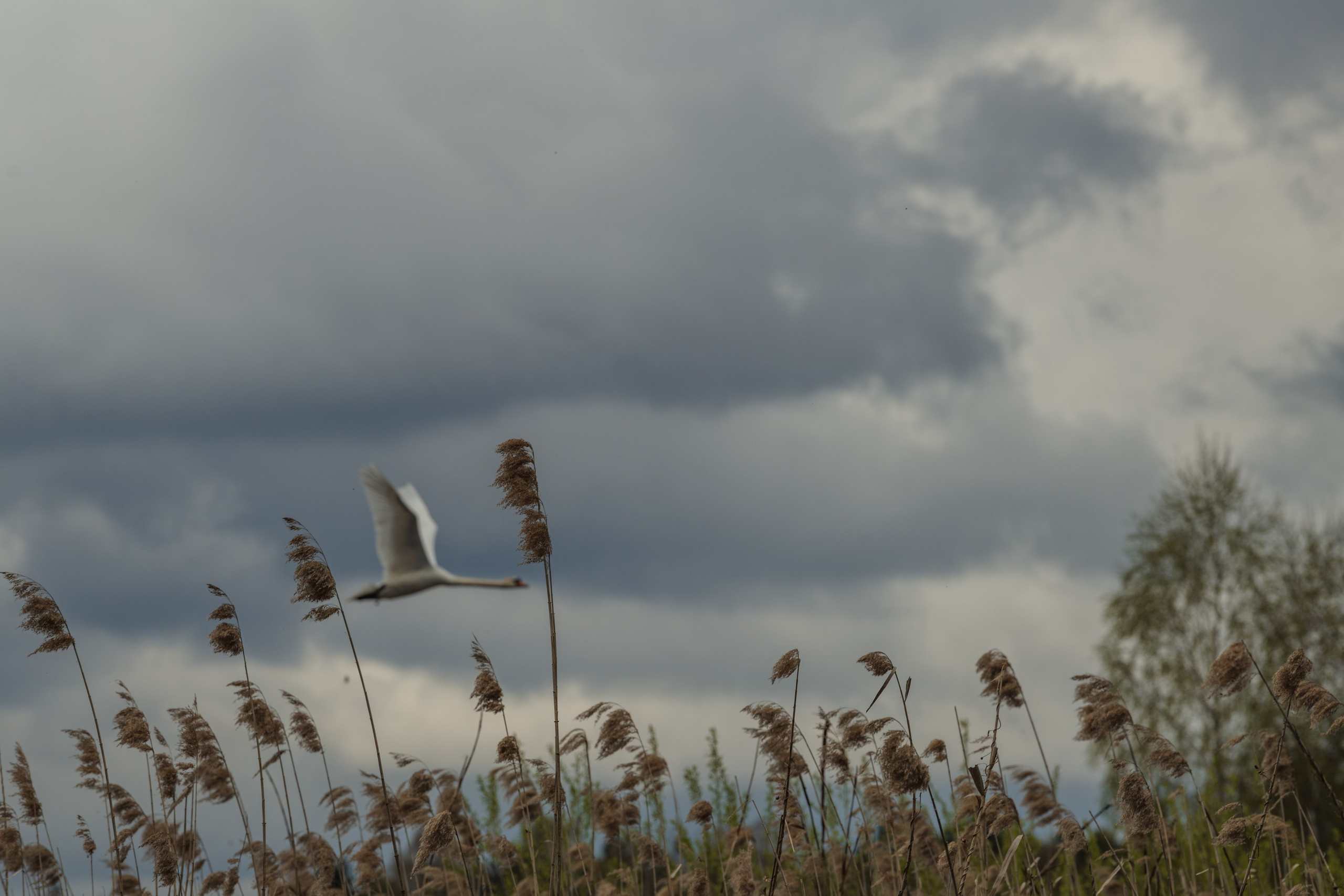 Водный поход 1-й кс по реке Случь. Репортажный фотограф Владимир Беляй