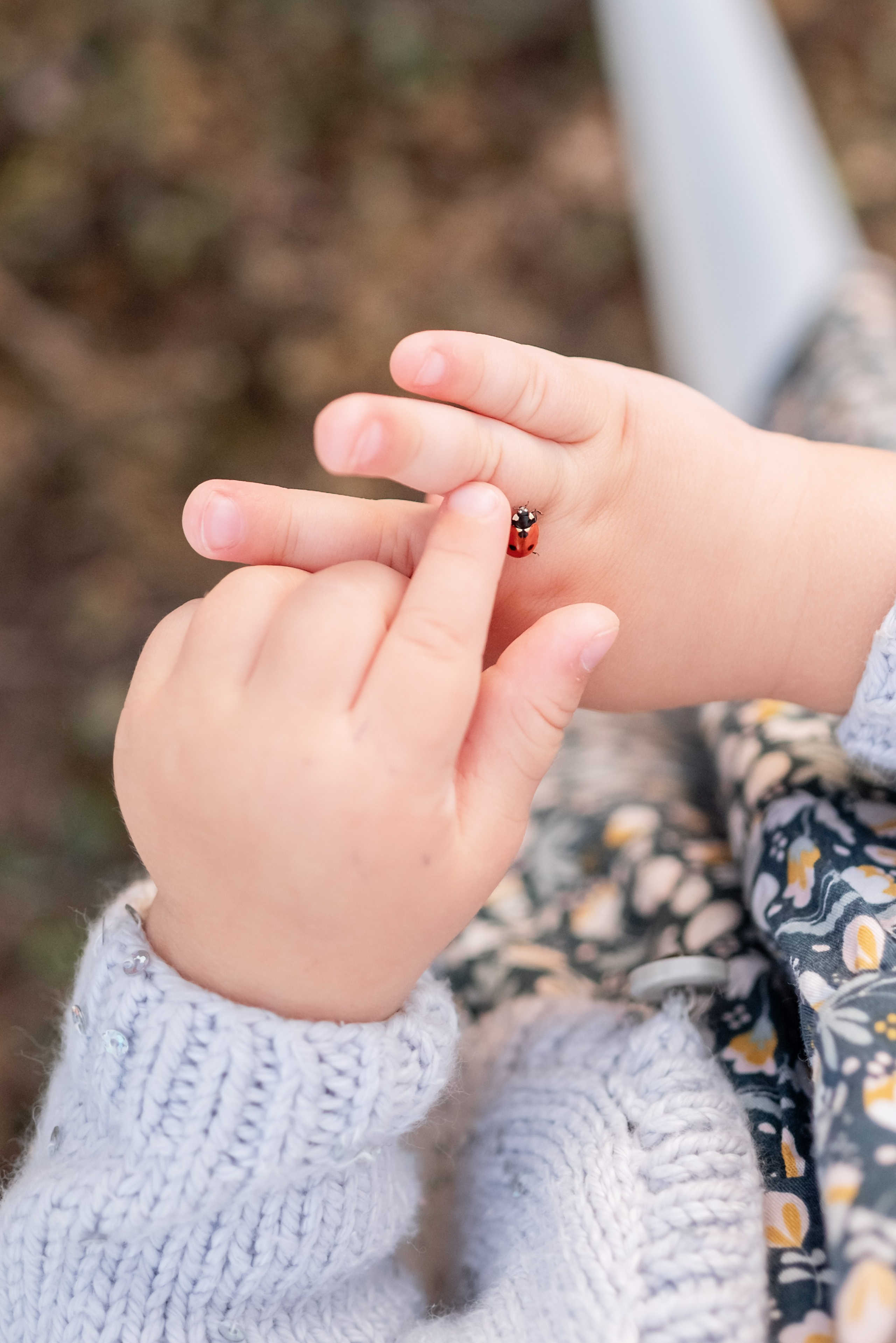 Фотосессия семейная. Семейный фотограф и фотограф новорожденных г. Солигорск Галина Демчук