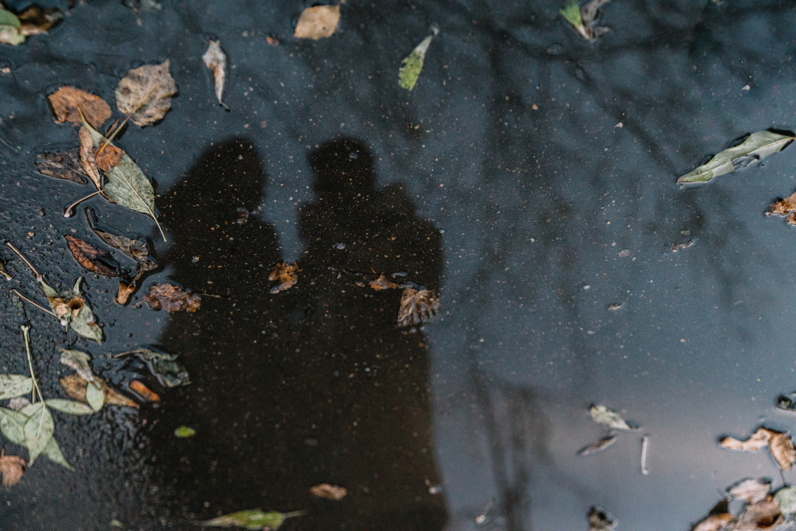 Прогулка Love story. Женский фотограф Москва, Лобня