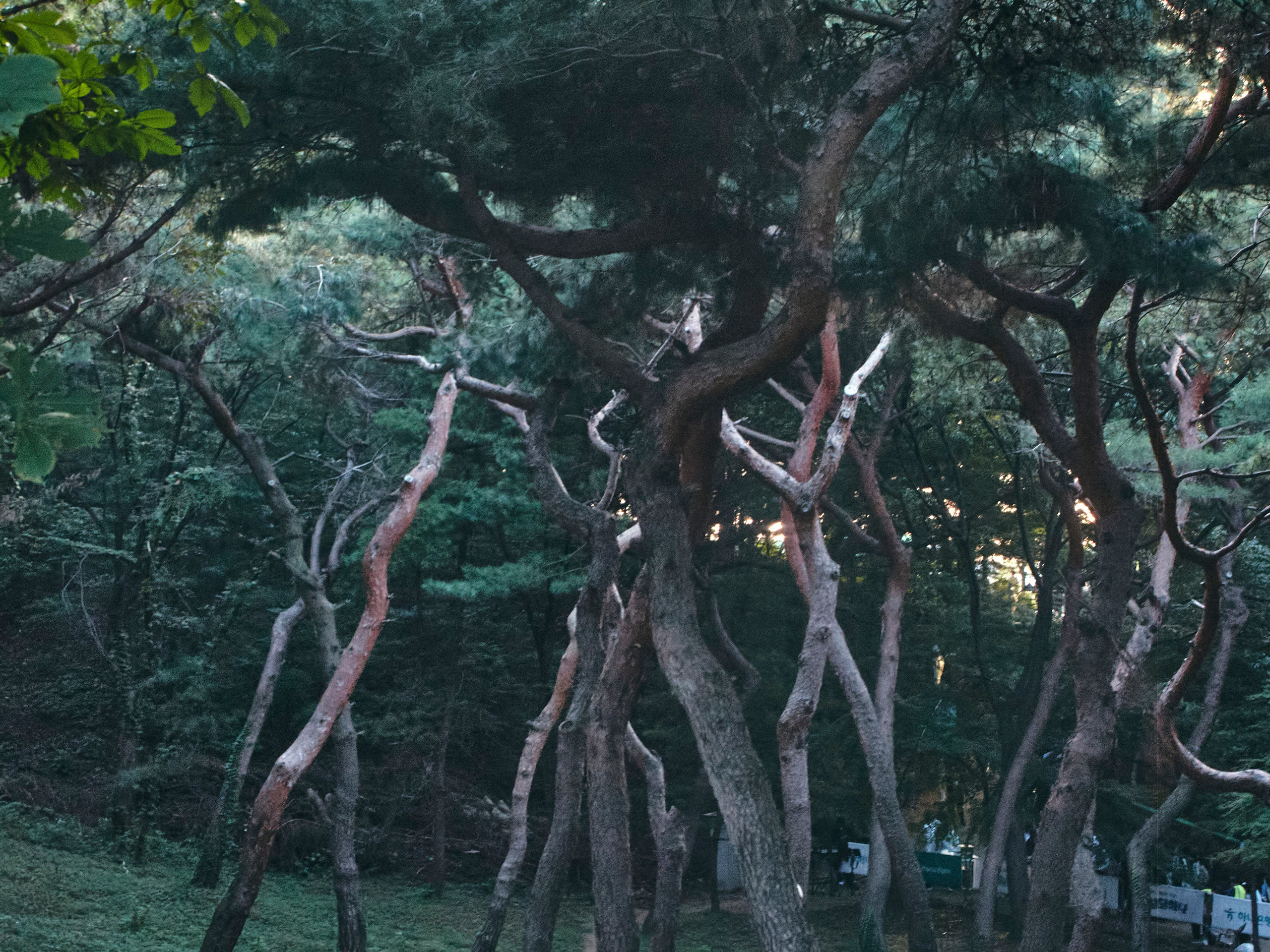 TRAVEL. Фотограф Наталья Леонова