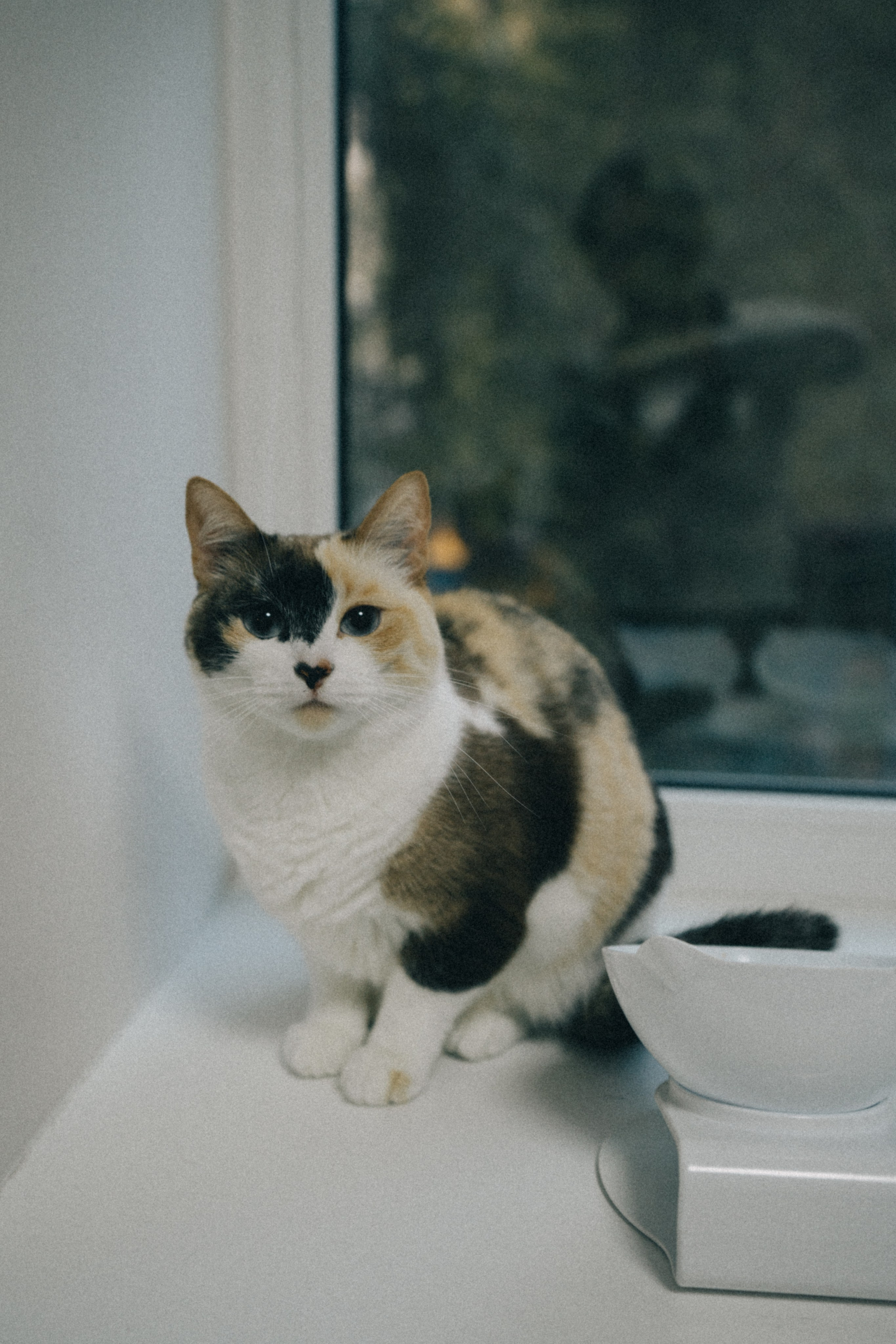 Вика&Даня. Фотограф и видеограф в Тюмени Екатерина Чернецкая