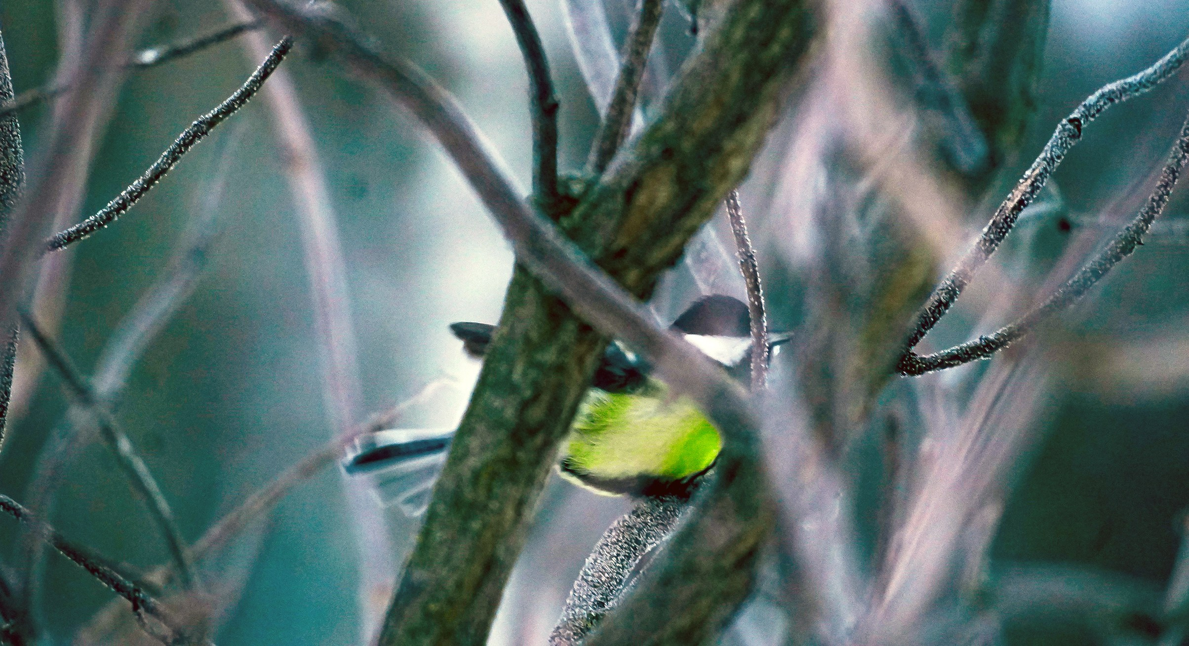 Уличная и репортажная фотография. Репортажный фотограф в Москве Светлана Мулыкина