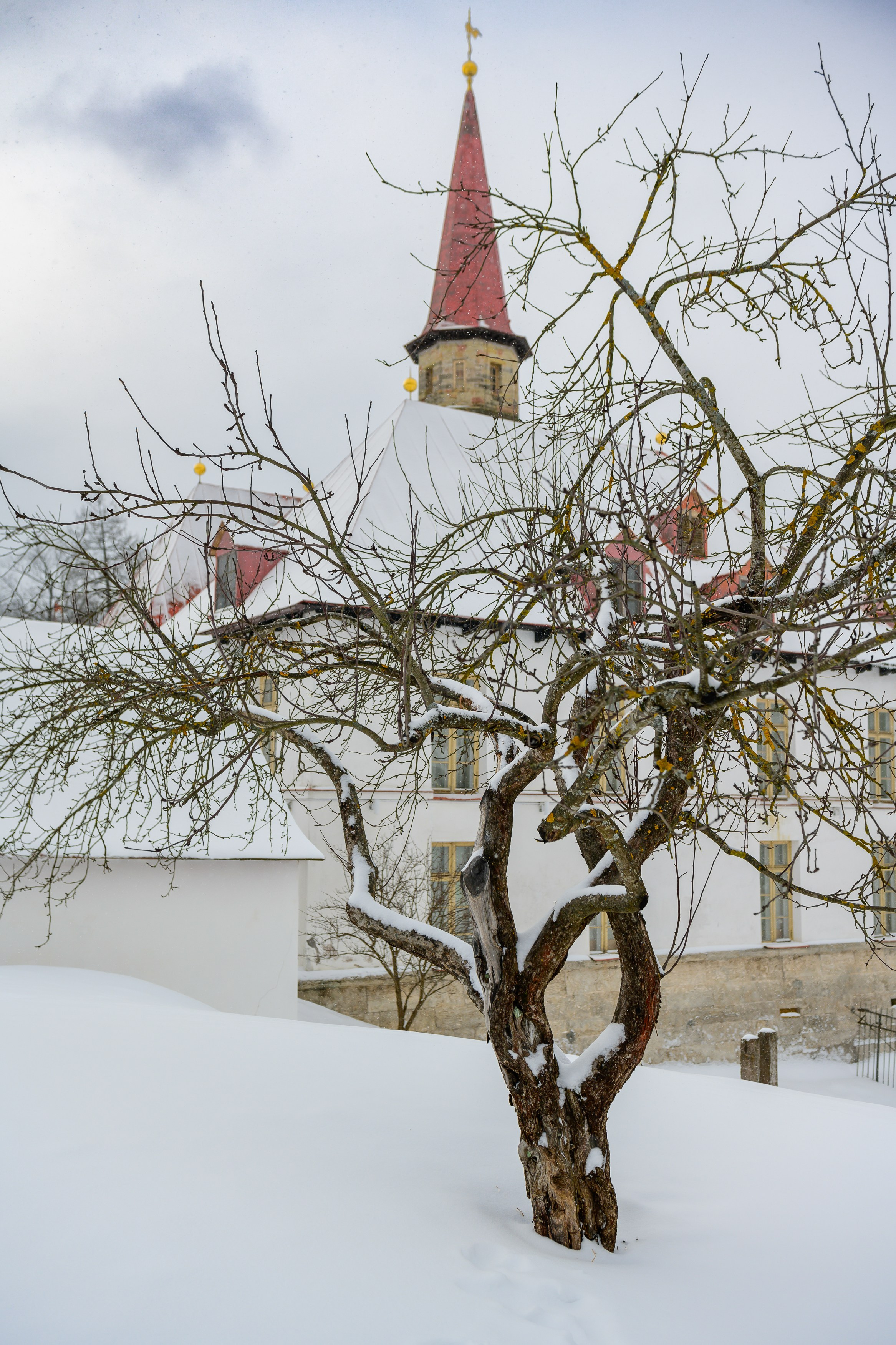 SAINT PETERSBURG | SUBURBS. Personal website of photographer Dmitry Raikin