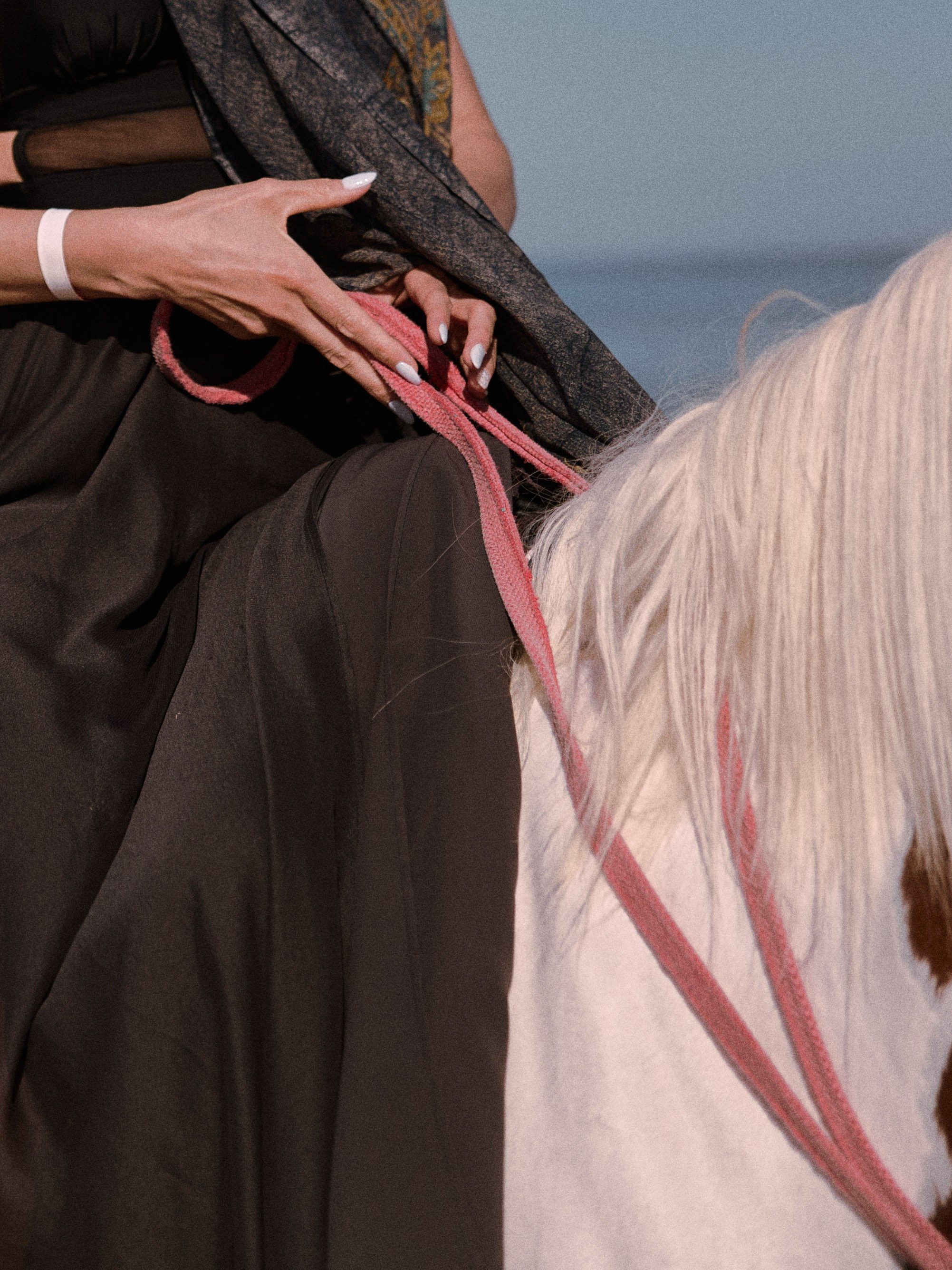 Лошадиная ферма. Jorgis — фотограф в Хургаде / обучение фотографии