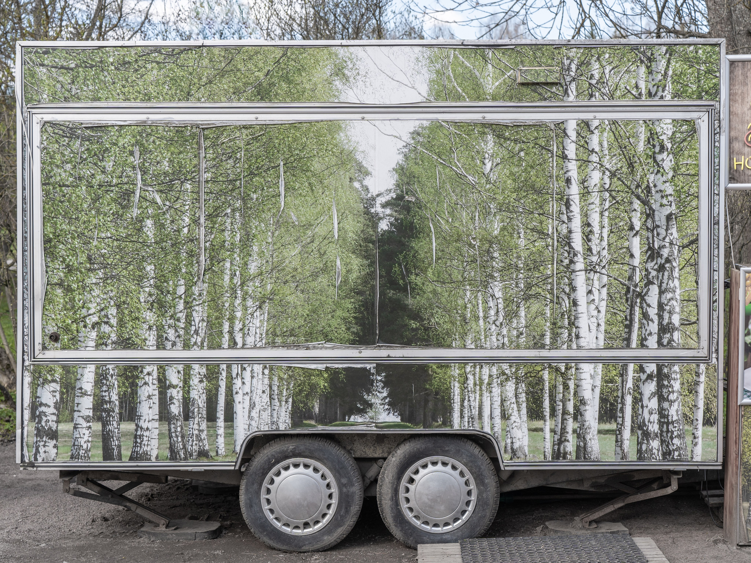 Фотографии. Ксения Доможилова