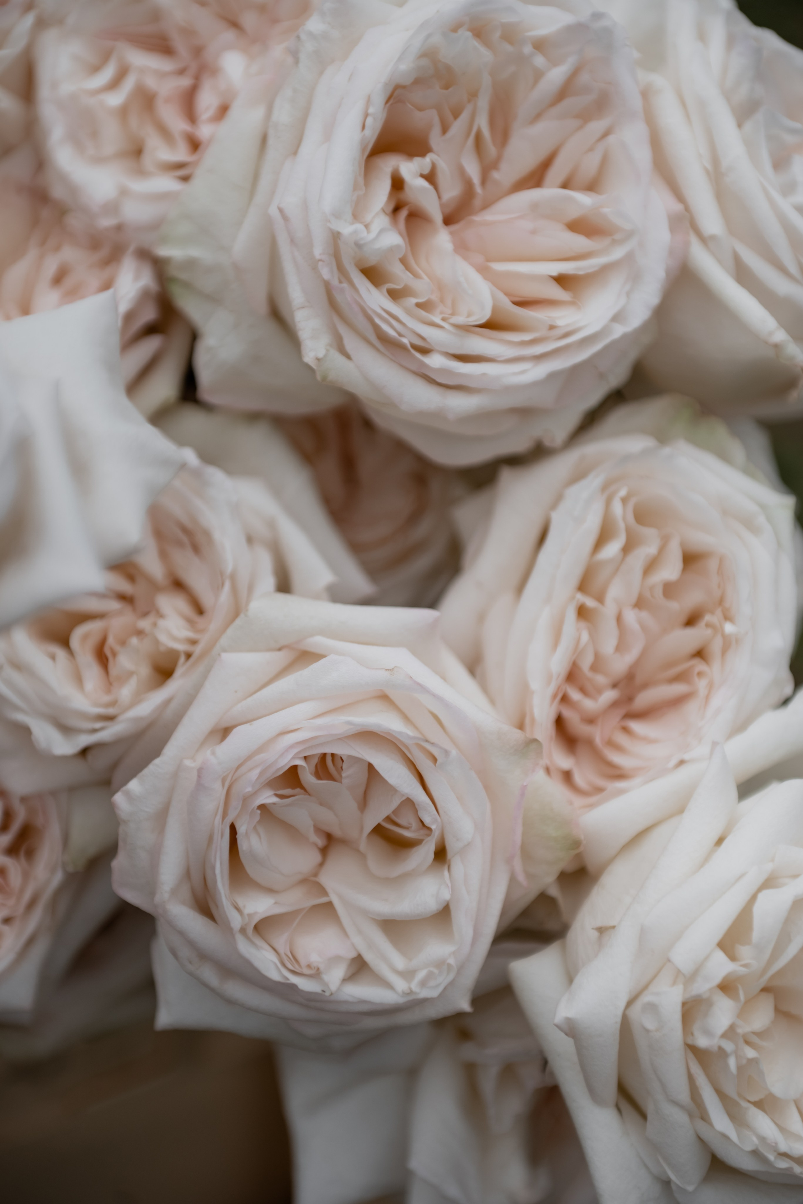 Свадебный фотограф в Минске и Санкт-Петербурге Вероника Аксенова