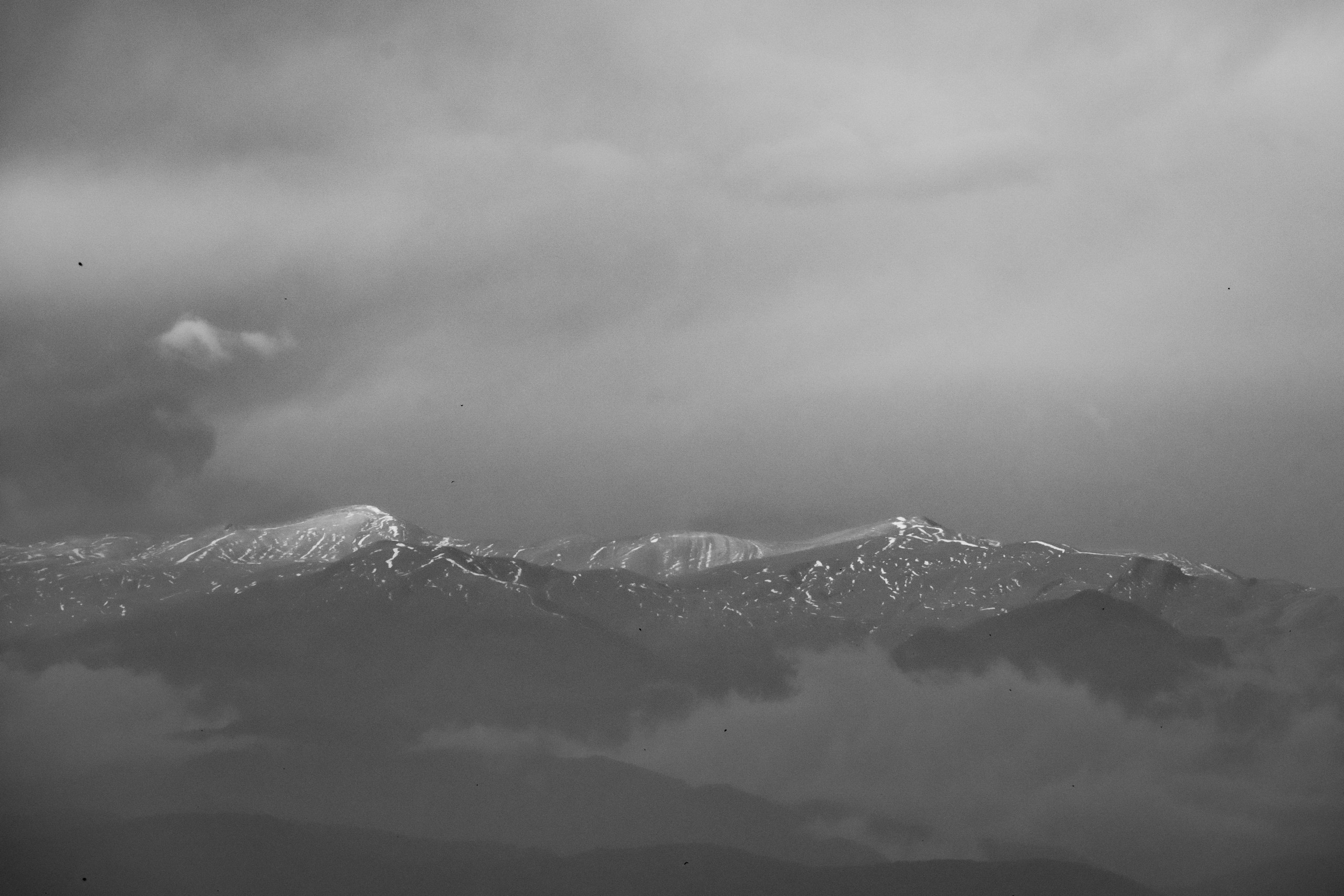 Дикая природа Дагестана. Май 2025 г. Foto-Zuev фотография как искусство